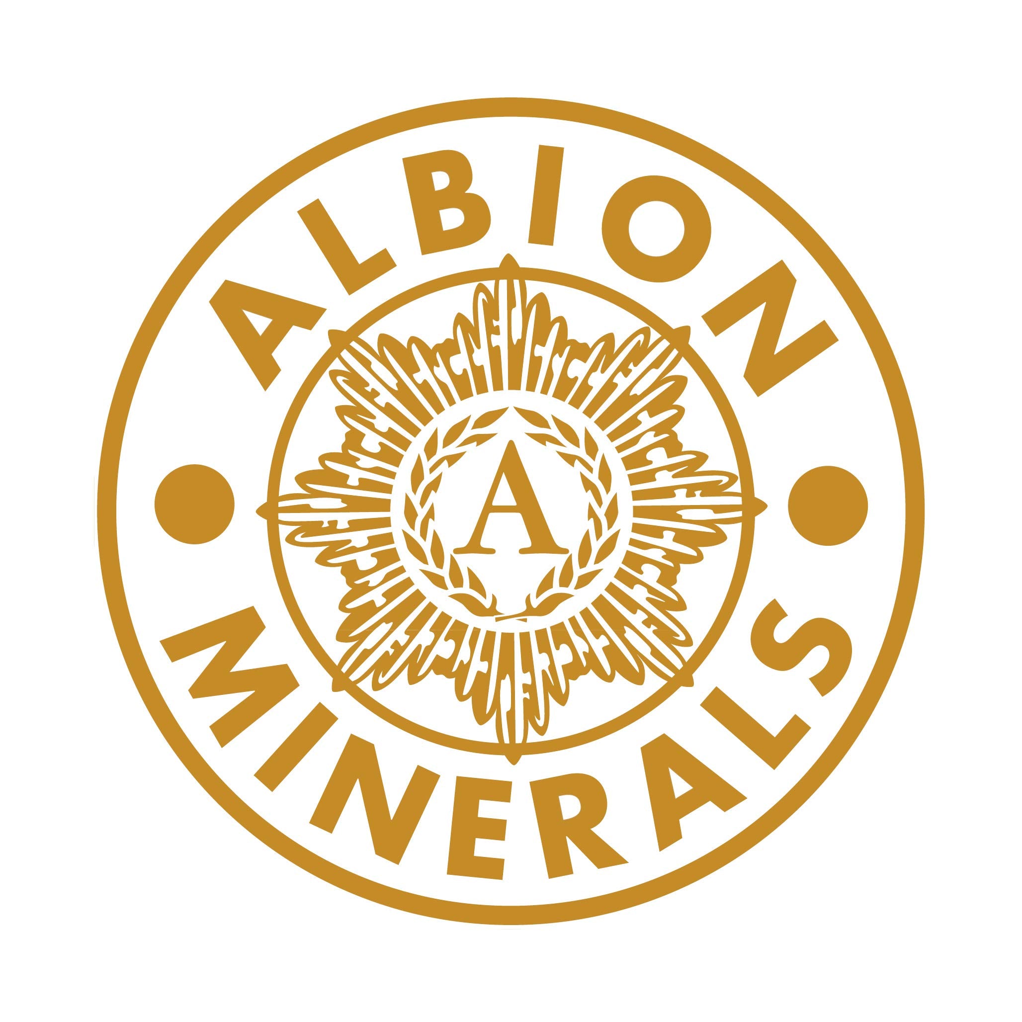 Bluebonnet Nutrition Albion Extra-Strength Chelated Iron 27 mg, For Healthy Red Blood Cell production*, Soy-Free, Gluten-Free, Non-GMO, Kosher, Dairy-Free, Vegan, 90 Vegetable Capsule, 90 Serving