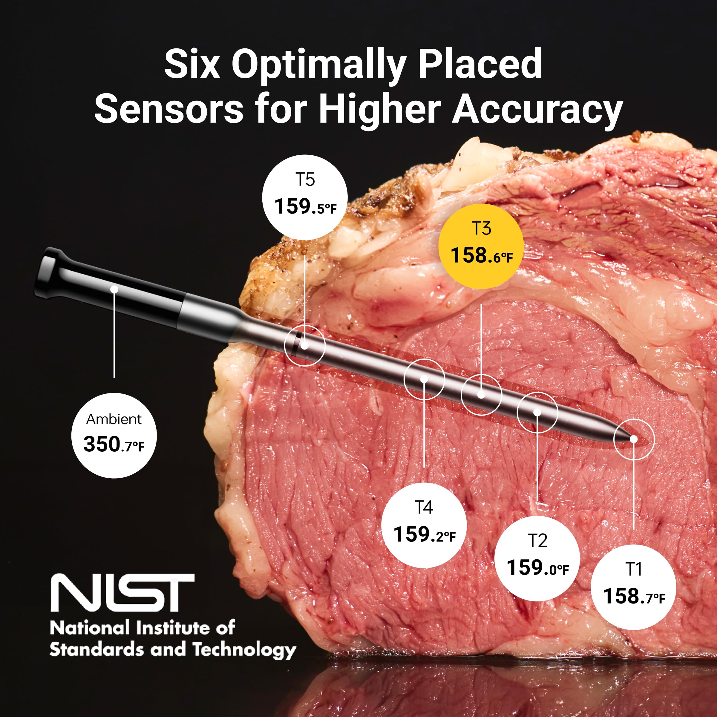 ThermoMaven Wireless Bluetooth Smart Meat Thermometer: Standalone Base, Smart WiFi Thermometer with Sub-1G, 6 Sensors NIST Certified Accuracy, 2 Probes, for BBQ, Grill, Oven, Smoker, Rotisserie