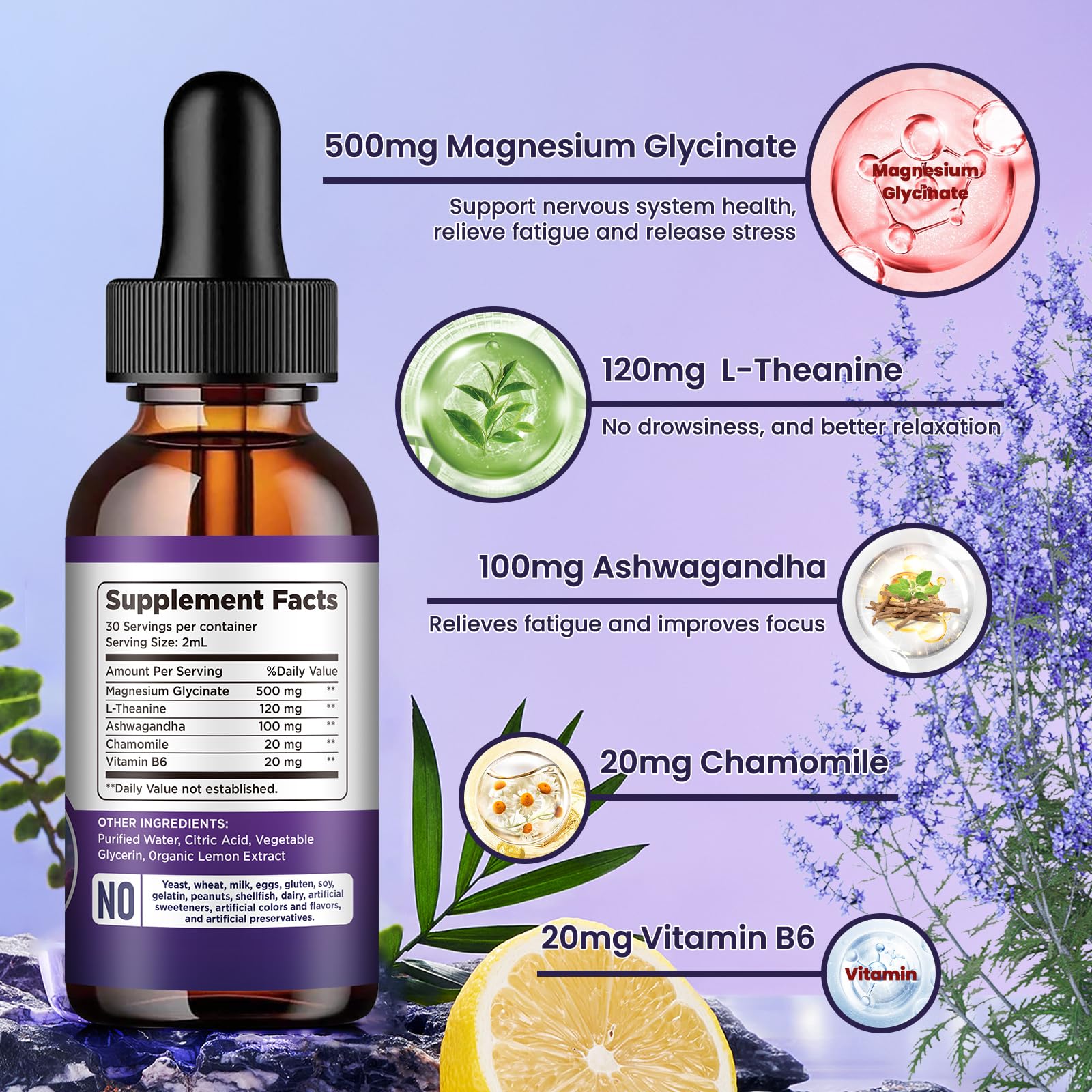 Magnesium Glycinate Supplement, Magnesium Liquid Drops with Magnesium Glycinate 500mg Vitamin B6, Ashwagandha, L - Theanine, Chamomile -Support Stress Relief, Bone, Muscle, Mood Vegan