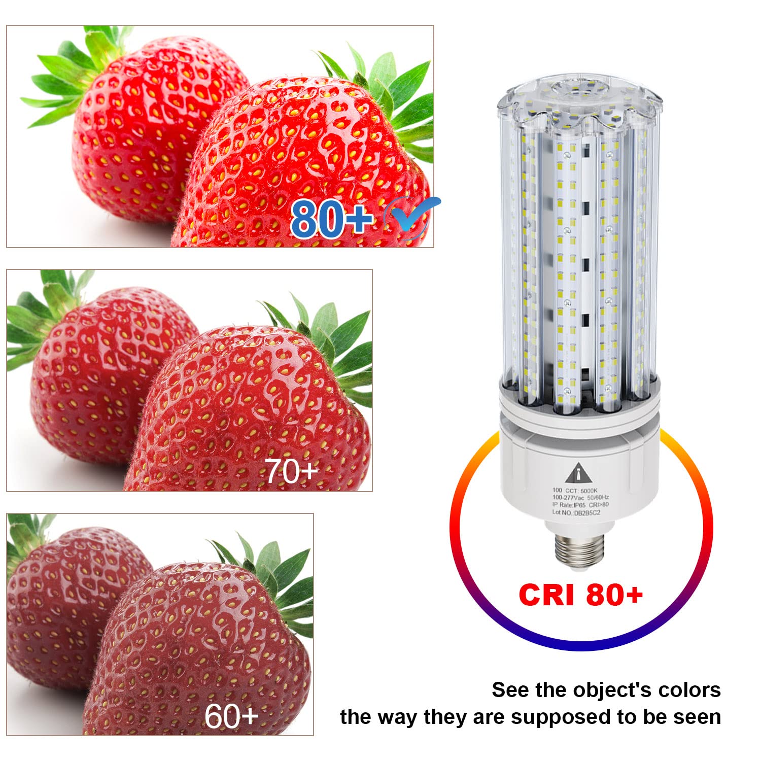 ZP LED Corn Light Bulb 100W Super Bright 15000lm 5000k E26 /E39 Led Corn Bulb, 1000W Equivalent CFL Metal Halogen HID Led Bulb for Outdoor Indoor Area Garage Basement Warehouse (2-Pack)