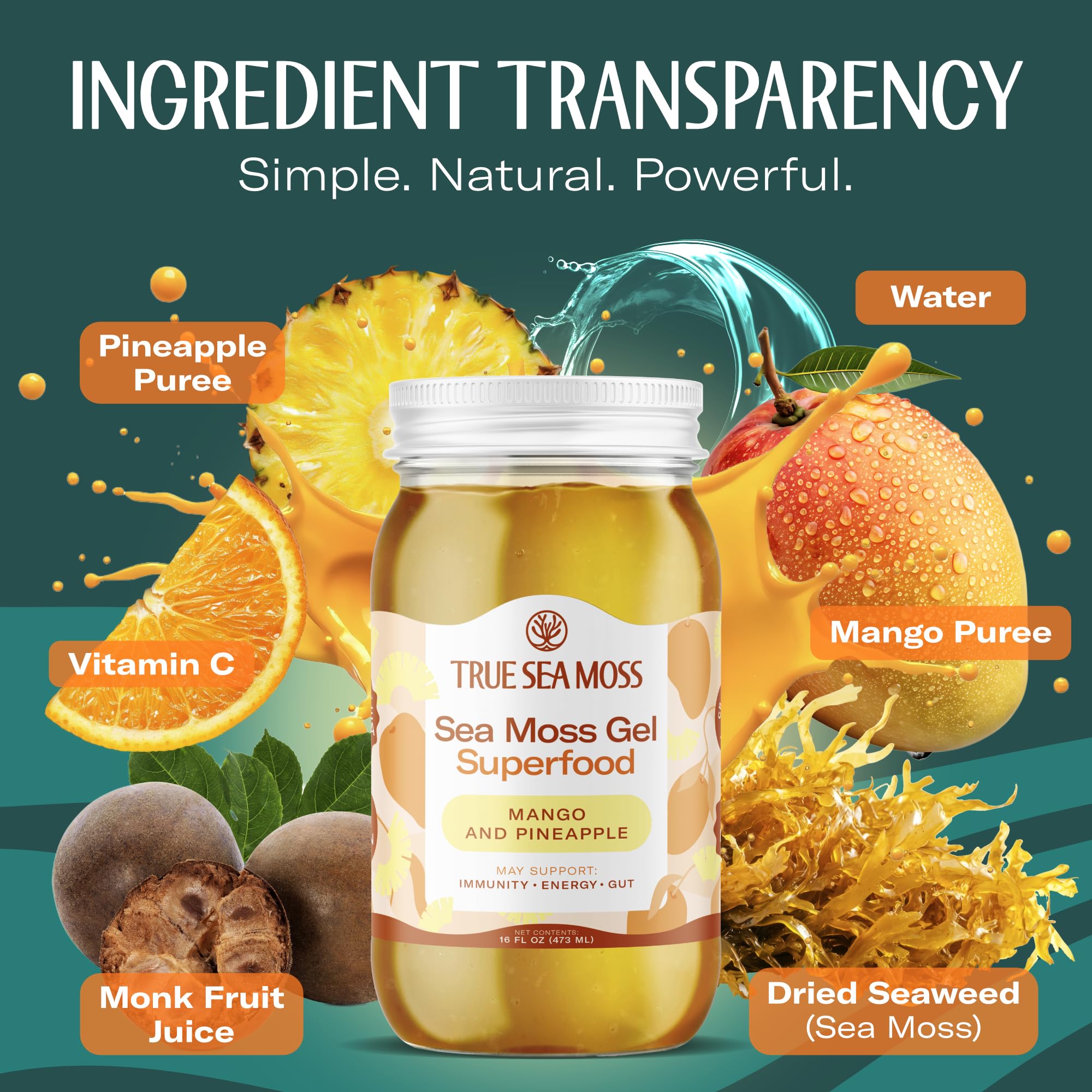 TrueSeaMoss Sea Moss Gel – Made in USA – Wildcrafted Seamoss, Fresh Fruits & Sea Vegetables – Mango/Pineapple, Pack of 1 (Labels may Vary)