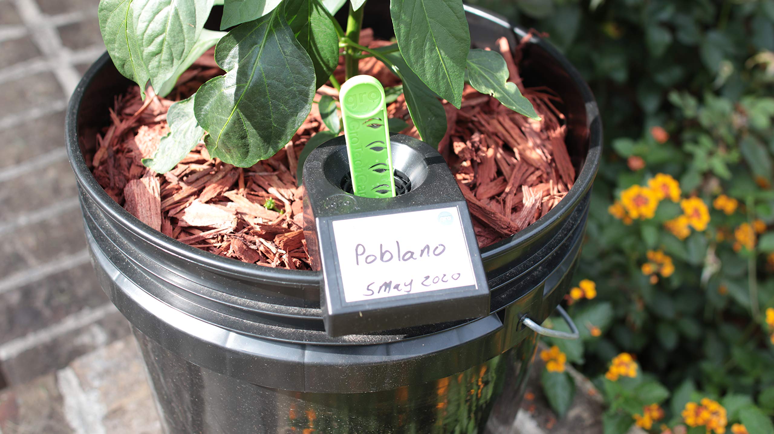 GroBucket Garden Kit (10PK) self-watering sub-irrigated planter insert. Turn any bucket into a self-watering Container Garden. Create an indoor or outdoor, space saving and portable garden in minutes.