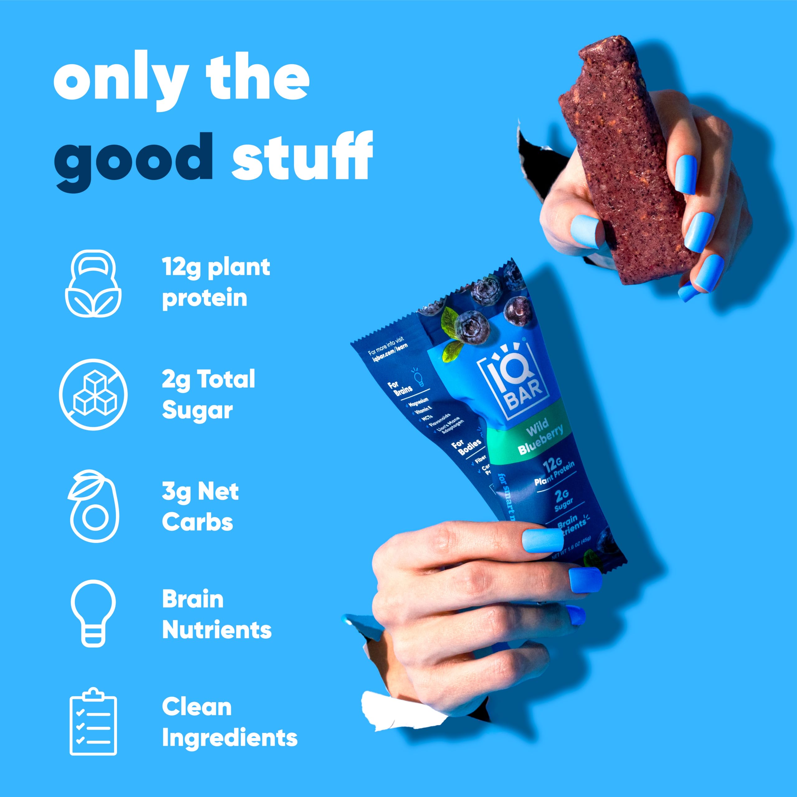 IQBAR Fruit Lovers Protein Bars - 12-Count Vegan Snack Pack - Gluten Free, Low Sugar and High Fiber Meal Replacement Bars