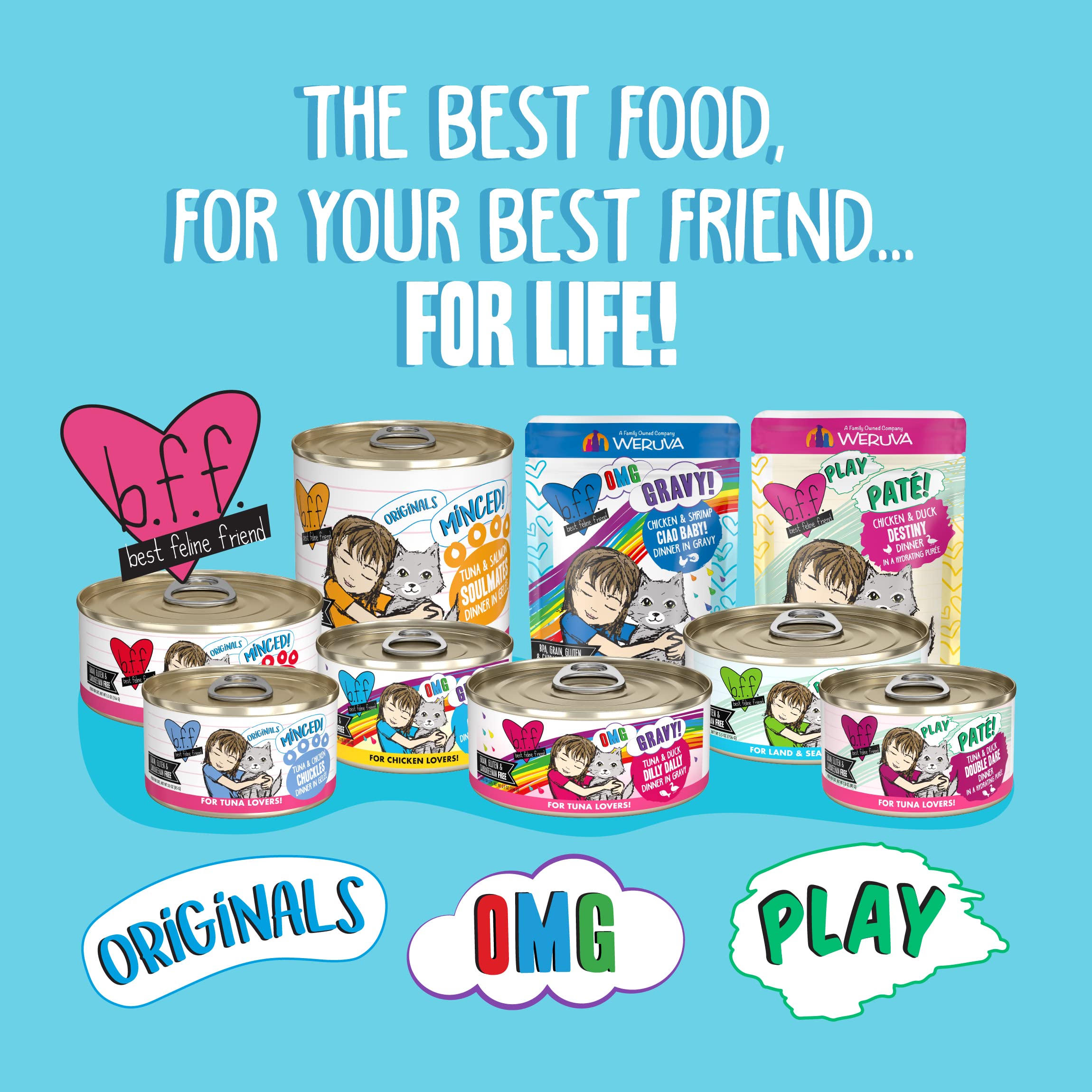 Weruva B.F.F. OMG - Best Feline Friend Oh My Gravy!, Best Day Eva! with Beef & Salmon in Gravy Cat Food, 2.8oz Can (Pack of 12)