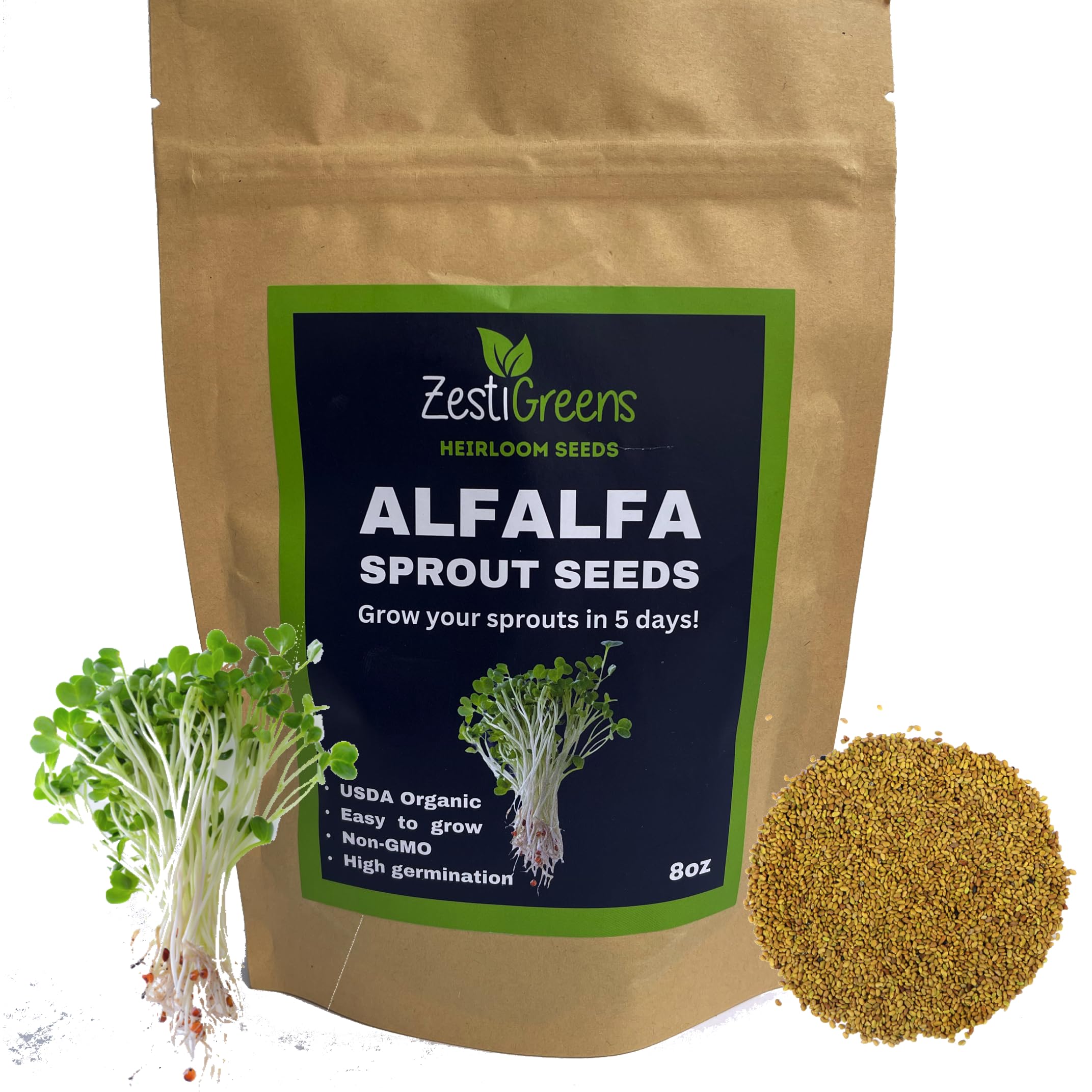 Premium Sprouts Growing Kit & Green Onion Regrower with 2 Mason Jars & Superior Sprout lids and Premium USA Alfalfa Seeds for Sprouting & Microgreens with High Germination Rate (0.5 lb)