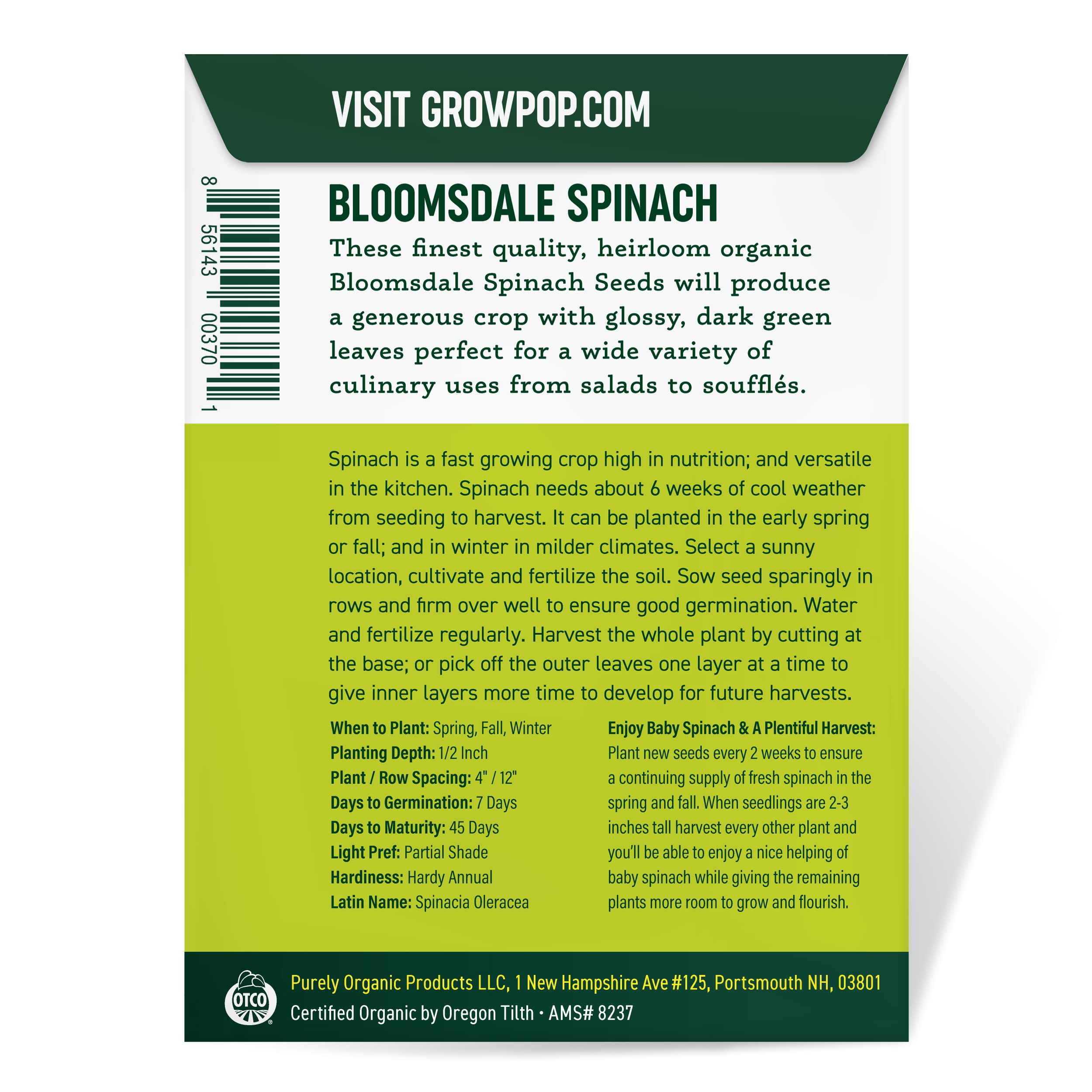 Organic Spinach Seeds (Bloomsdale Long Standing) - Approx 300 Seeds - USDA Organic, Non-GMO, Open Pollinated, Heirloom, USA Origin