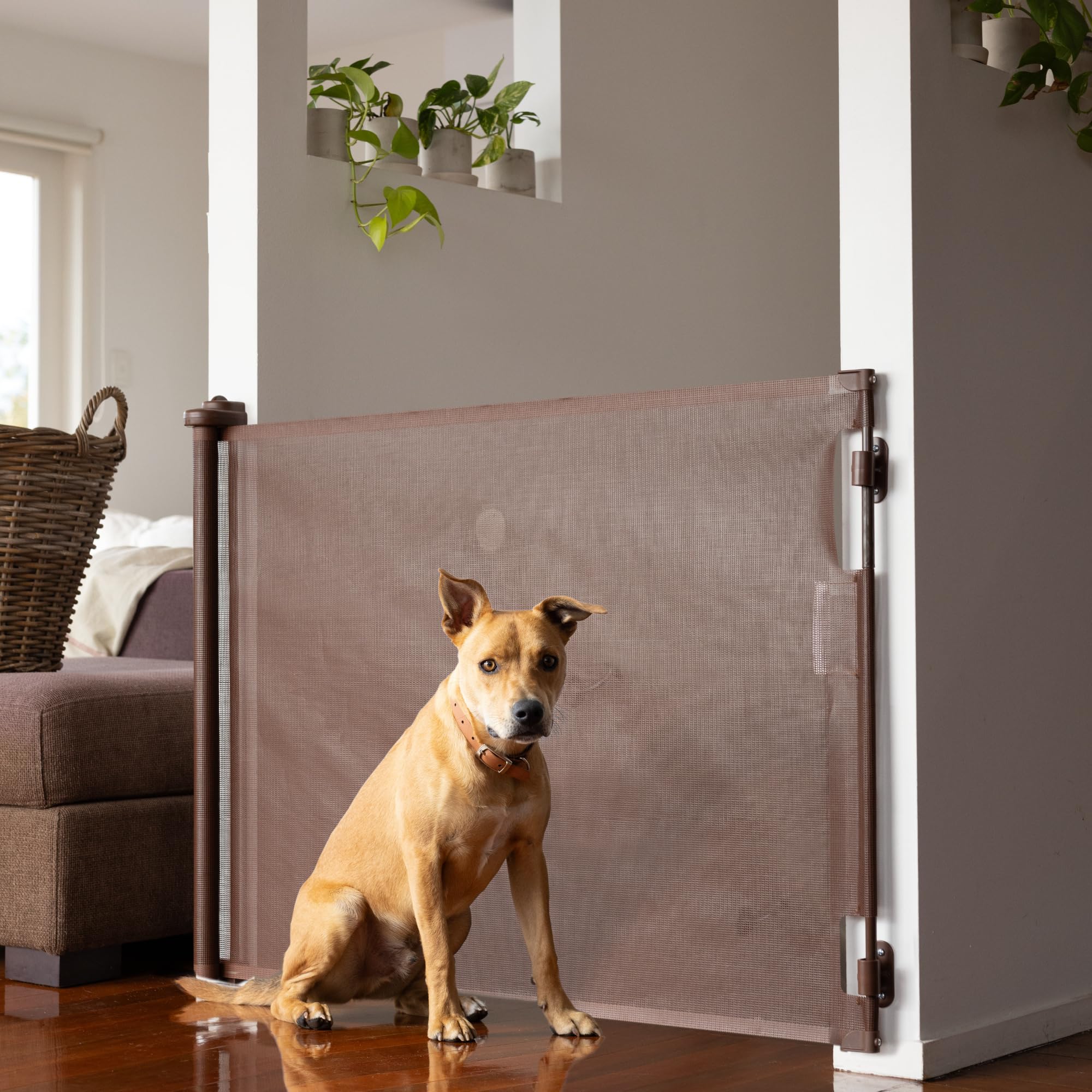 Retractable Baby Gate Perma Child Safety 33" Tall x 71” Wide, Mesh, for Stairs, Doorways, Dogs, Pets, Indoor, Outdoor, One-Handed Operation, Locking, Easy Install, Hardware Mount, Brown
