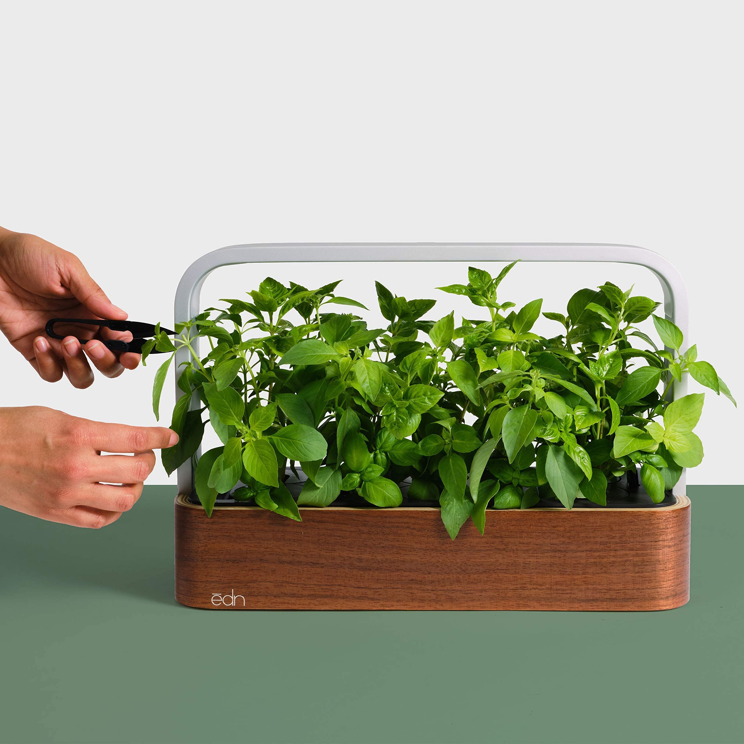 EDN SmallGarden with Basil SeedPods, Indoor Grow Smart Garden Starter Kit for Fresh Home Grown Herbs, Plants and Flowers - Grow up to 10 Different Plants at Once