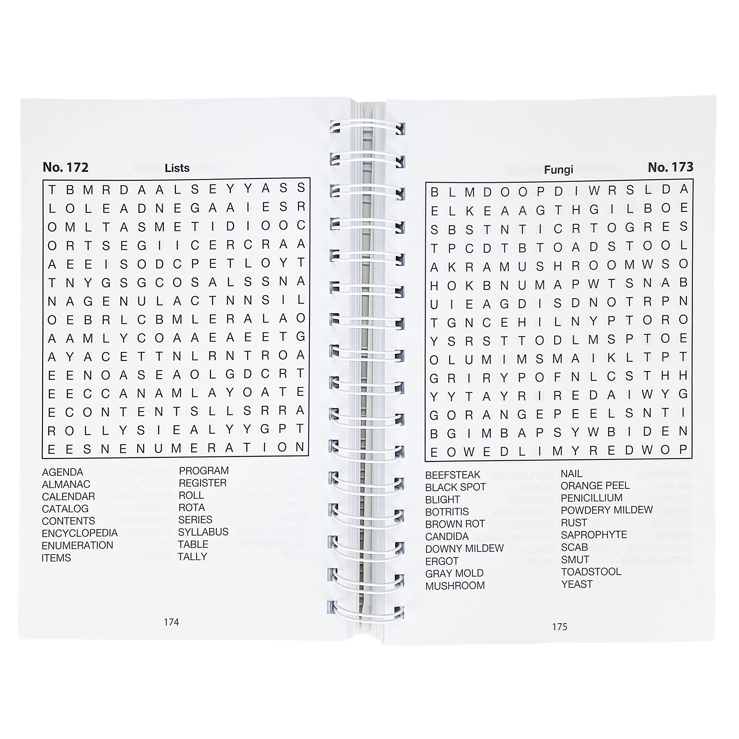 Word Search Puzzles (Big Book of Puzzles) (Brain Busters)