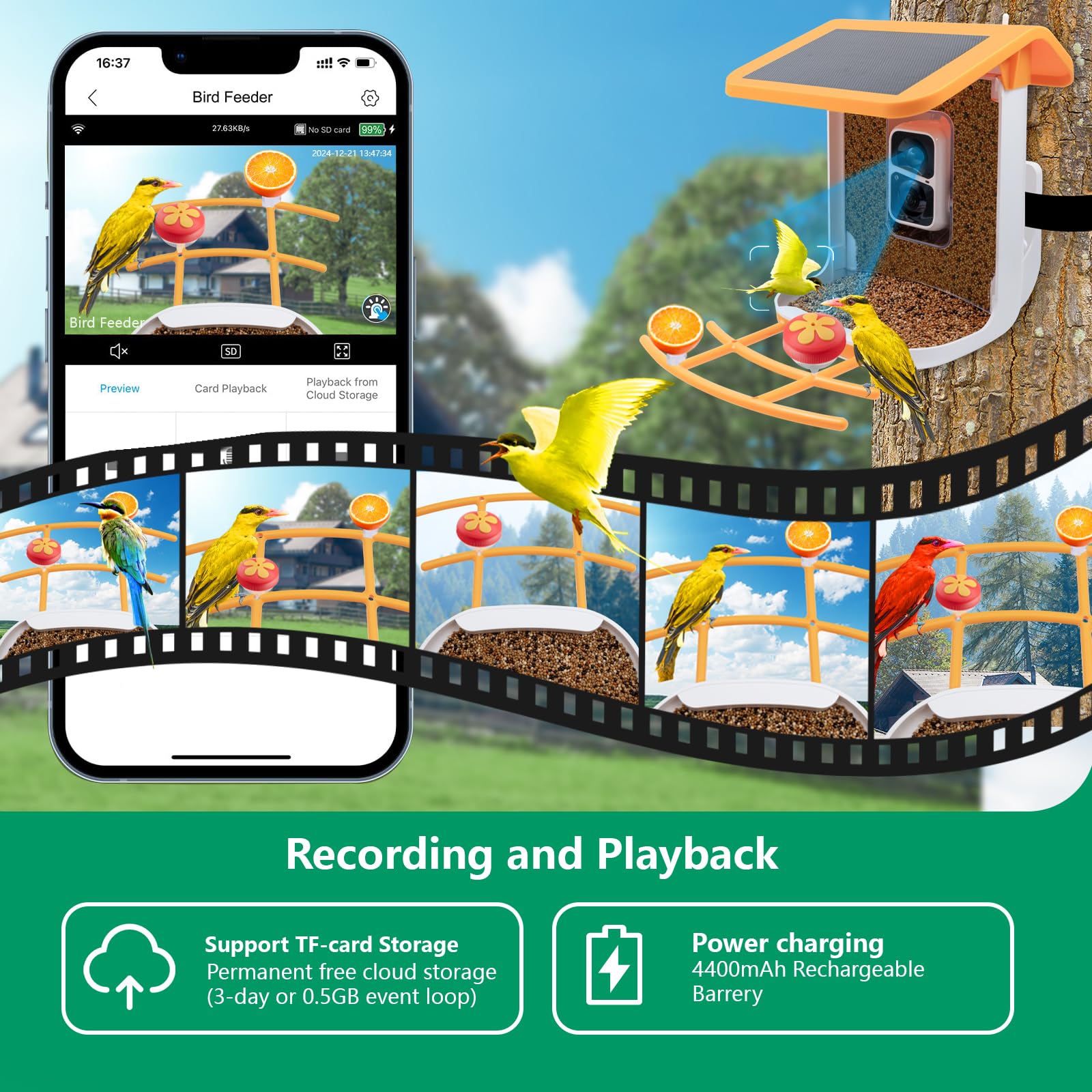Bird Feeder with Camera Solar Powered, 2K Live Video, for Outdoor Backyard - Ai Identify Auto Capture Videos, Unique Outdoor Gifts for Mom Dad Birdlover