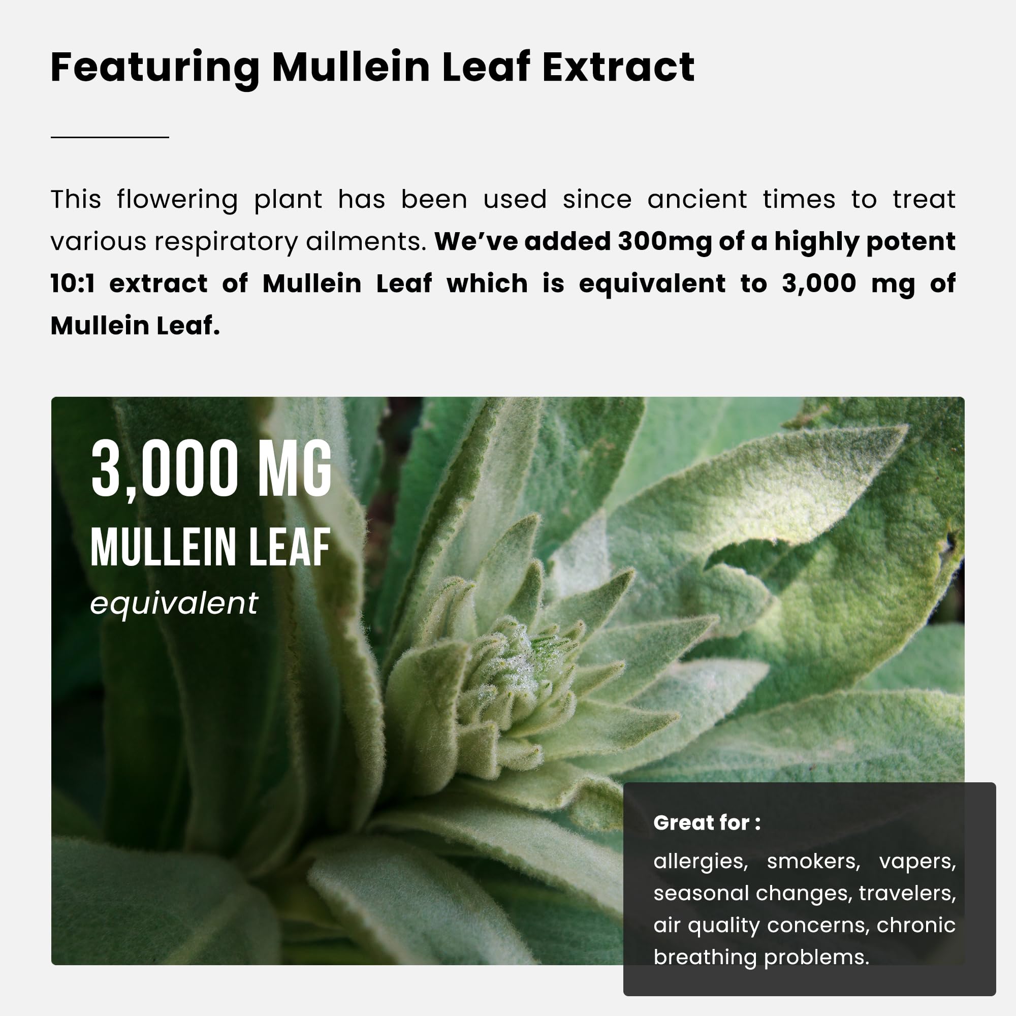 Lung Detox & Cleanse | Mullein Leaf Capsules | 15-In-1 Lung Health Formula for Respiratory, Immune & Mucus Support | 10:1 Mullein Leaf Extract (3000mg Equivalent) | Vegan Lung Support Supplement