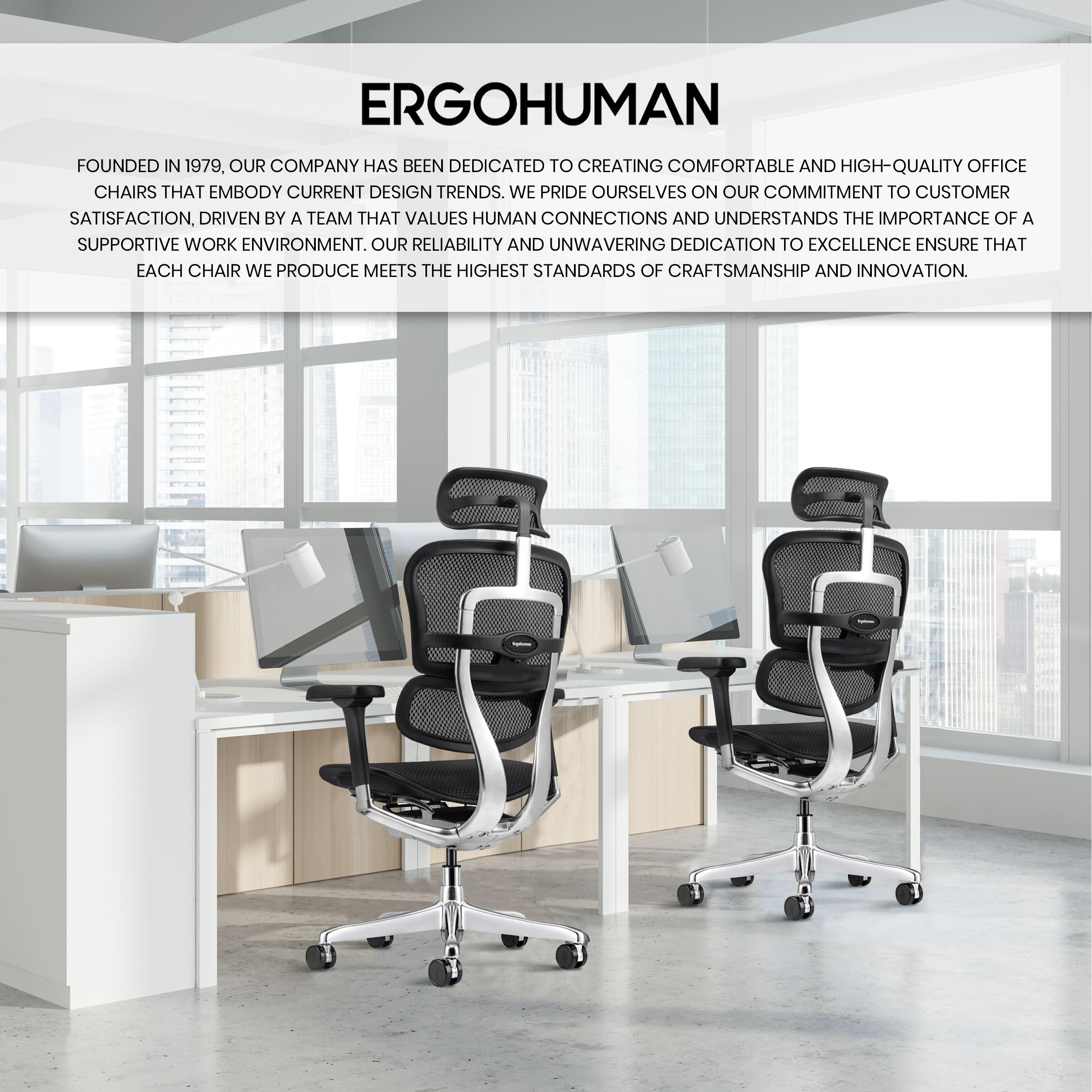 Ergohuman Eurotech GEN2 – High Back Black Mesh Office Chair with Adjustable and Flexible Lumbar Support – Headrest, Seat Slider, Armrests, and Height Adjustment