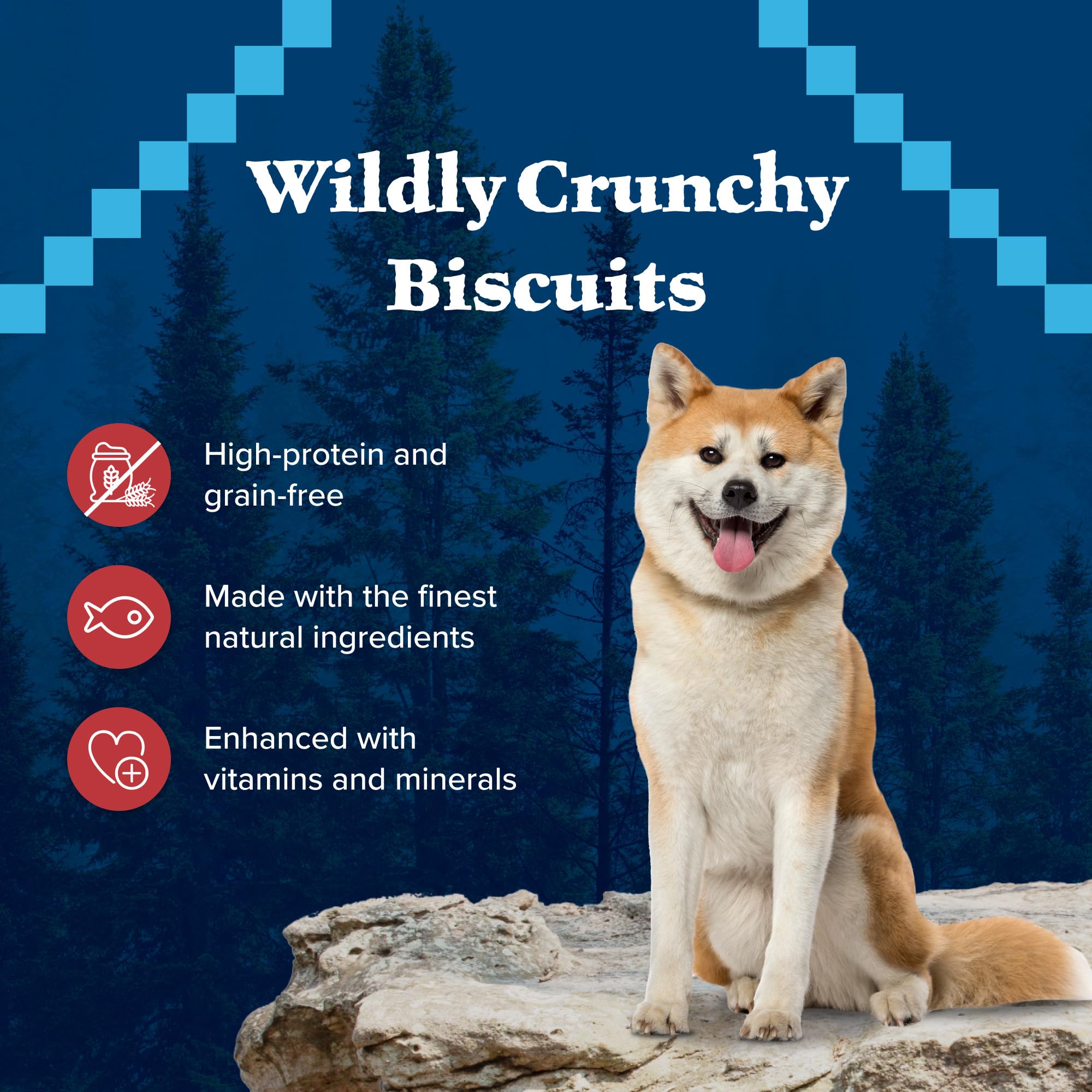 Blue Buffalo Wilderness Trail Treats Crunchy Dog Biscuits Variety Pack, Grain-Free and High-Protein Dog Treats Made with Natural Ingredients, | Duck, Turkey & Salmon Recipes, 10-oz. Bag (3 Pack)