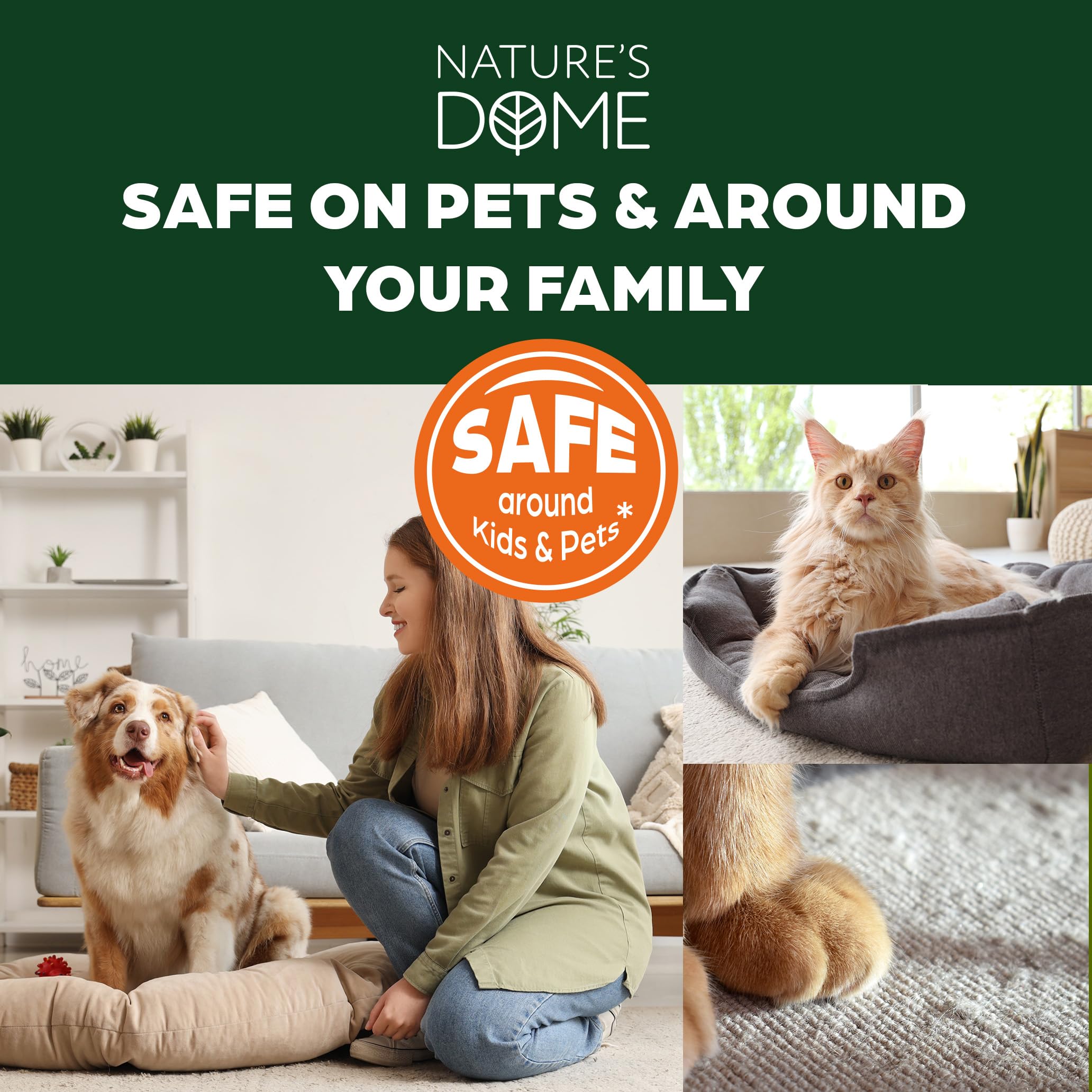 Nature’s Dome Peppermint Flea & Tick Spray – 16 oz – Kills & Repels Fleas, Ticks, Larvae & Eggs – Plant-Based Pest Control – Safe for Pets, Kids & Plants – Ready-to-Use