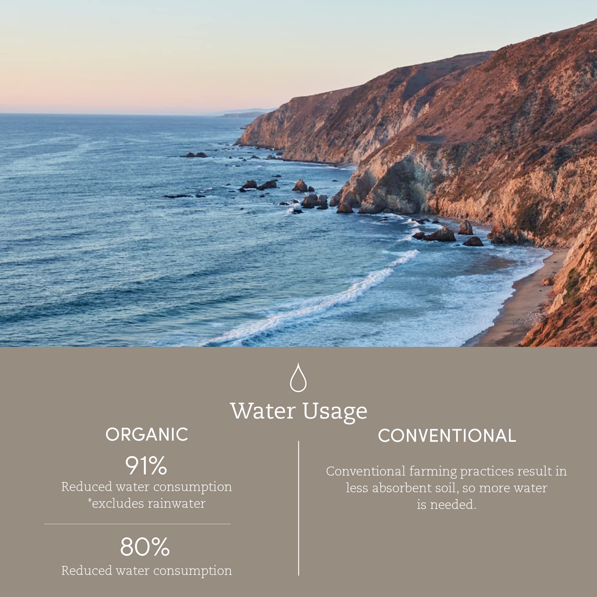 Coyuchi Organic Crinkled Percale Sheet Set, Sage w/Gulf (King)