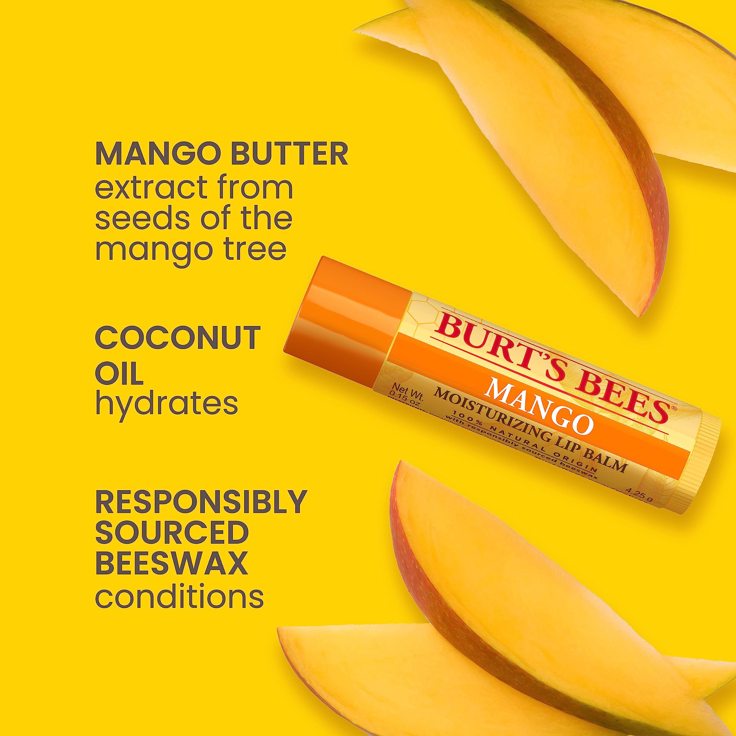 Burt's Bees Lip Balm Stocking Stuffers, Moisturizing Lip Care Christmas Gifts, SuperFruit - Pomegranate, Coconut & Pear, Mango, Pink Grapefruit, Natural Origin Treatment (4-Pack)