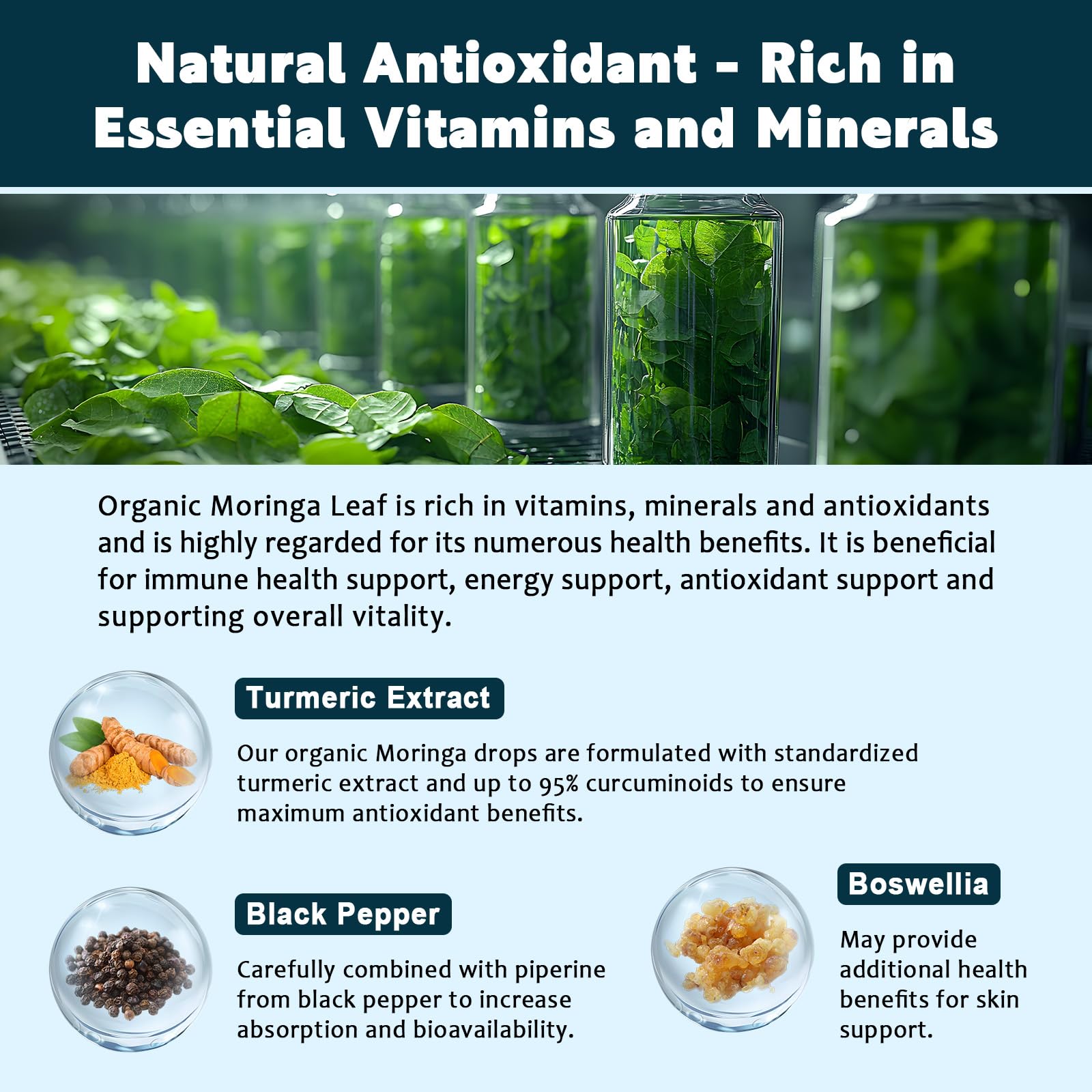 (2 Pack) Organic Moringa Leaf Extract Liquid Drops for Women and Men - Energy, Antioxidant, Skin, Immune Support, Pure Moringa Oleifera Leaf Extract with Turmeric, Boswellia, Black Pepper - 1 Fl Oz