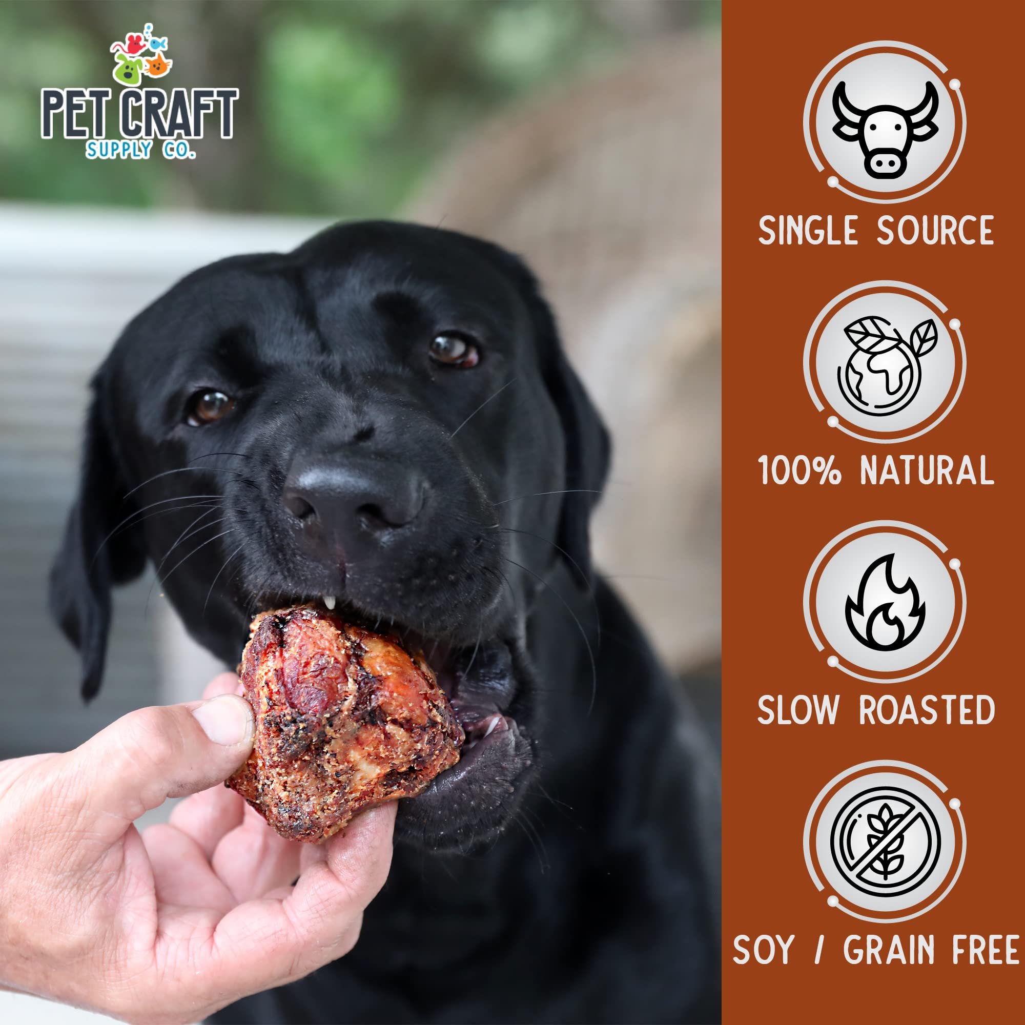 Pet Craft Supply Meaty Buffalo Knee Caps Bones 10-Pack Dog Treats for Aggressive Chewers, Rawhide Free Grain Free All Natural Slow Roasted Long Lasting Chew