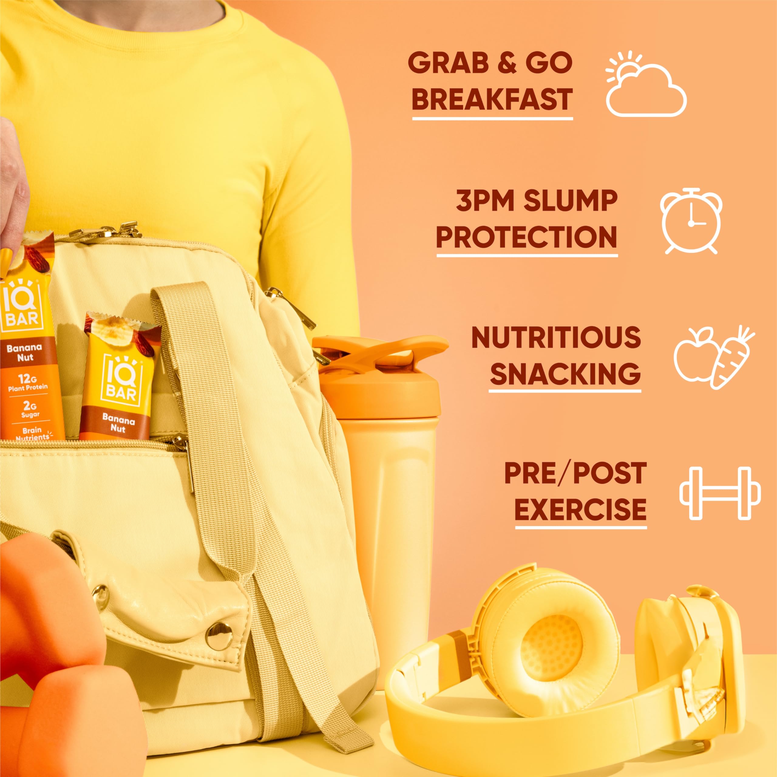 IQBAR Fruit Lovers Protein Bars - 12-Count Vegan Snack Pack - Gluten Free, Low Sugar and High Fiber Meal Replacement Bars