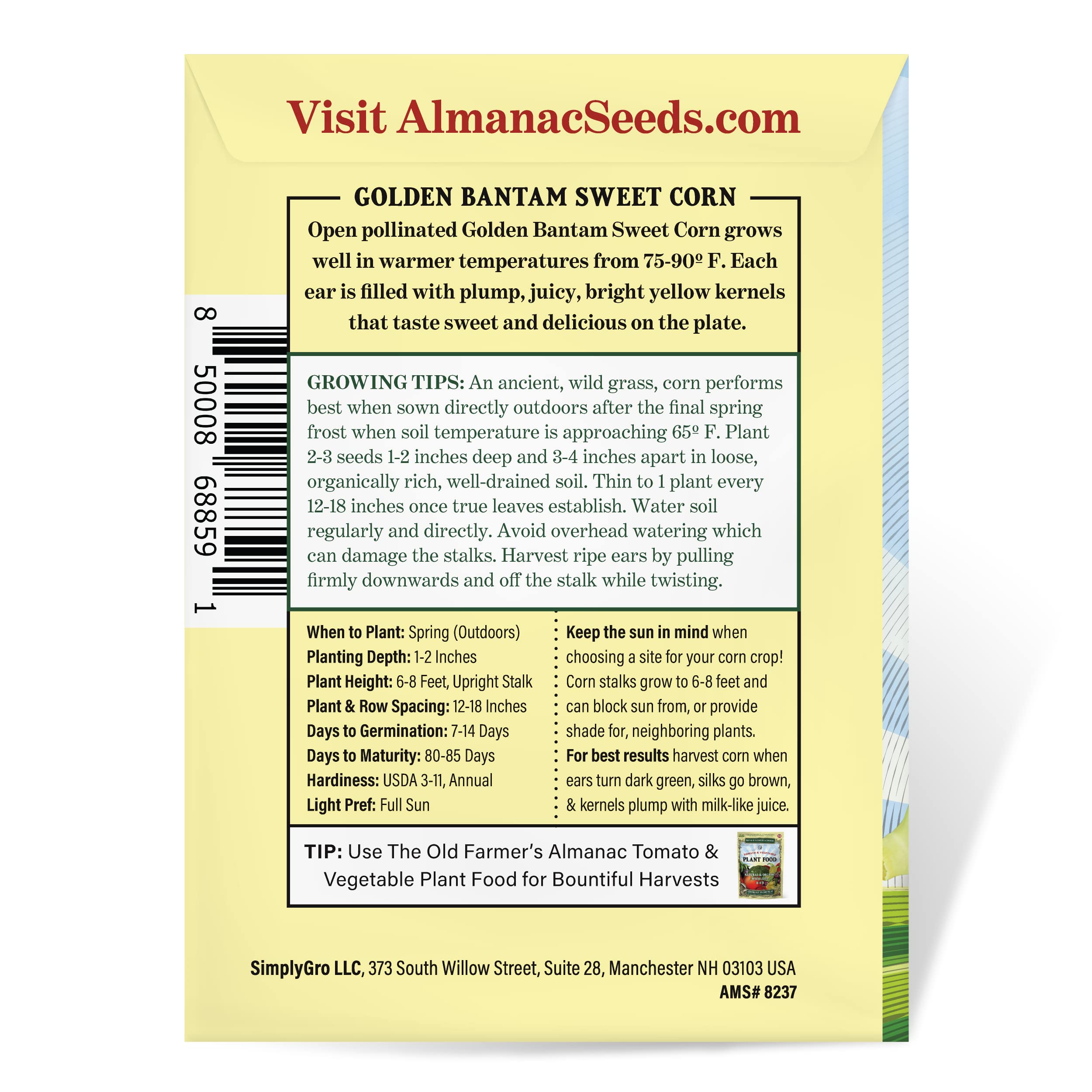 The Old Farmer's Almanac Heirloom Sweet Corn Seeds (Golden Bantam) - Approx 75 Seeds - Non-GMO, Open Pollinated, USA Origin