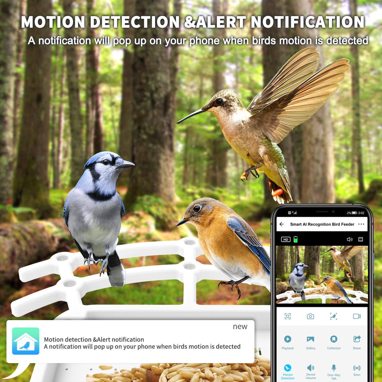 Smart Bird Feeder with Camera - HD AI Identify 11000+ Bird Species, Solar Panel Bird Feeder Auto Detect & Notify, Bird Watching Camera Wireless Outdoor for Bird Lover