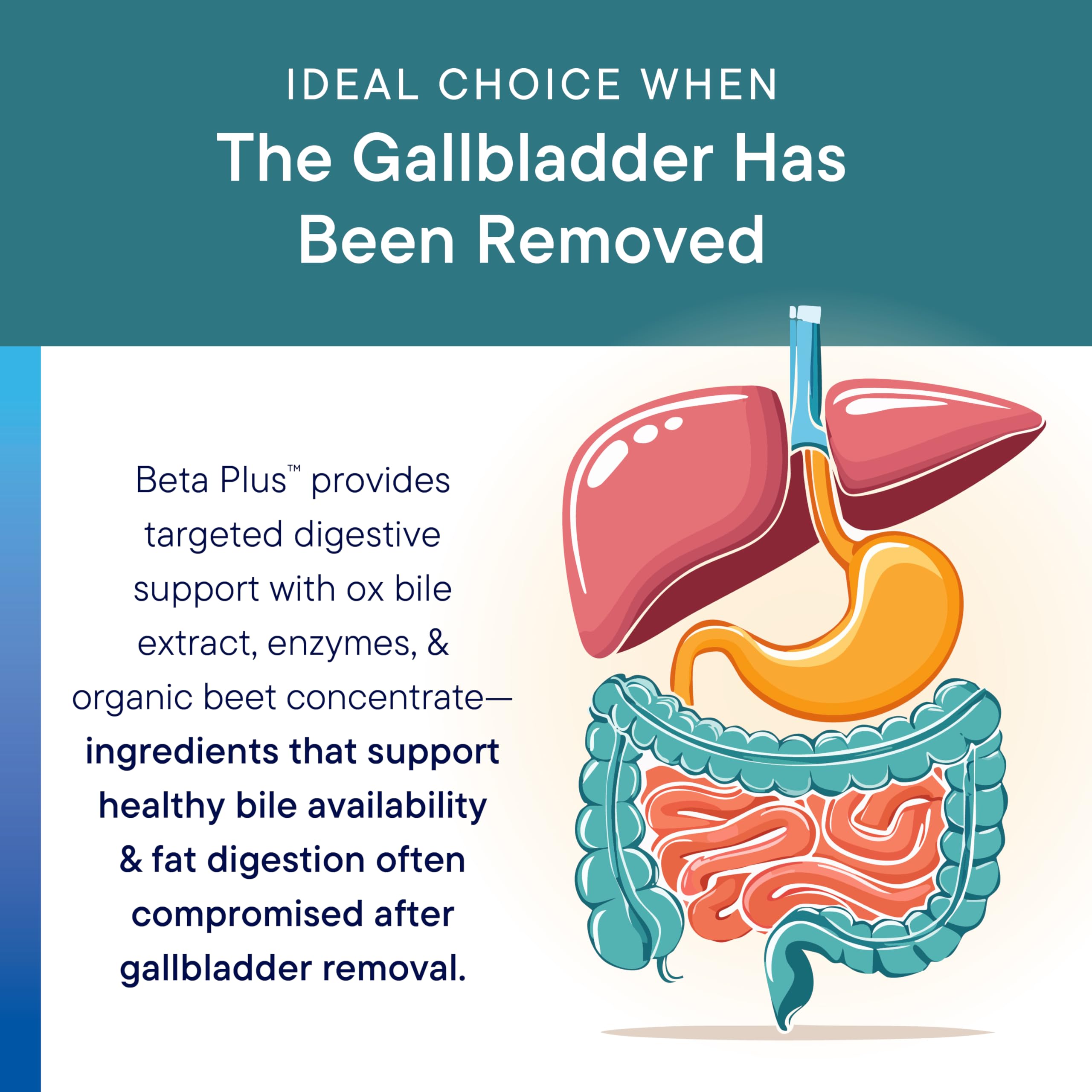 Biotics Research Beta-Plus™ Nutritional Ox Bile Salts Digestive Enzymes Supplement For Bile Production For No Gallbladder-Supports Overall Liver Function, Aids Fat Digestion, Supplies Betaine 180 Tabs