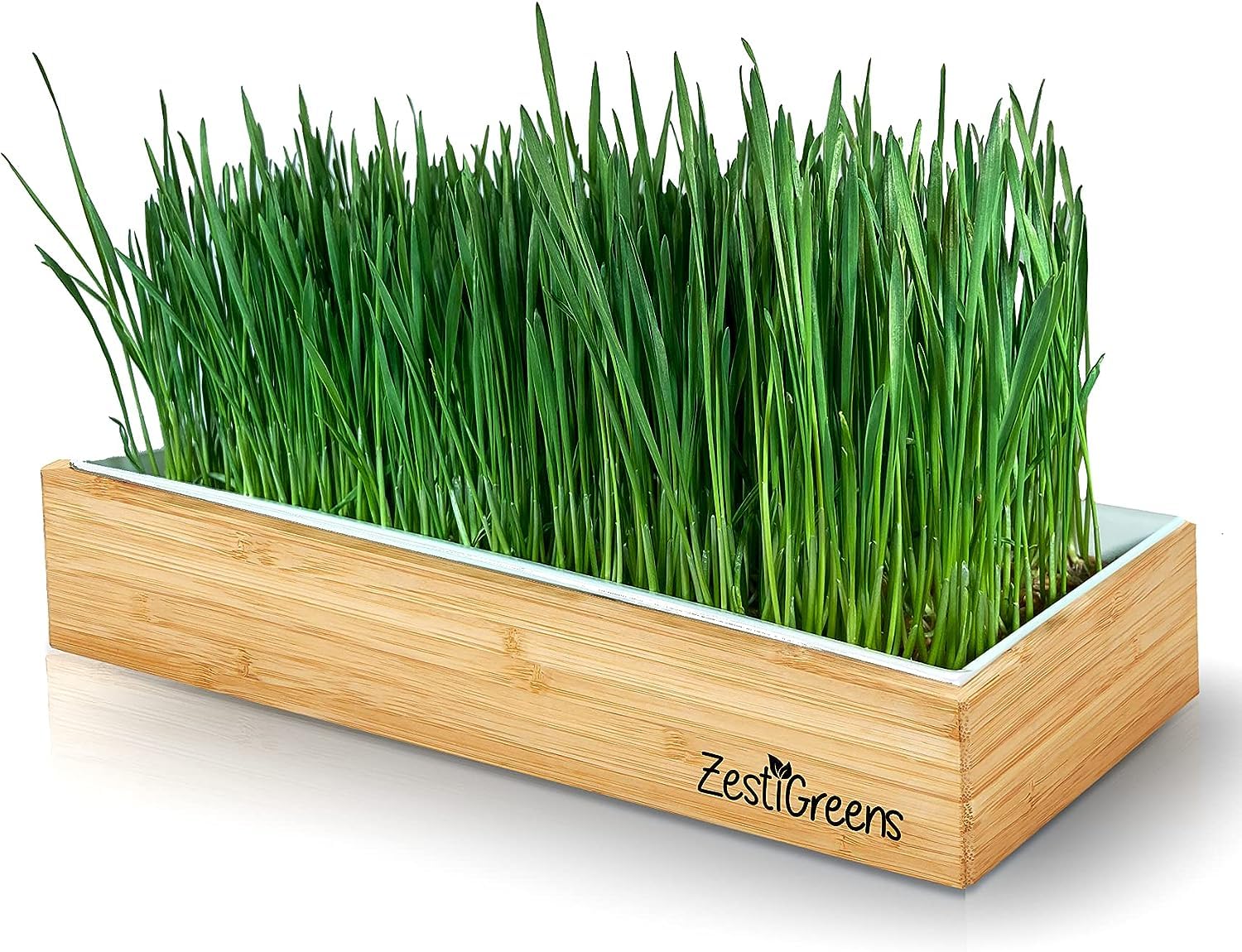 Organic Wheatgrass Growing Kit, Self Watering, with Soilless Grow Mats and Organic Wheatgrass Self Watering Kit Refill Mats & Seeds for 5 Crops (Refill Kits)