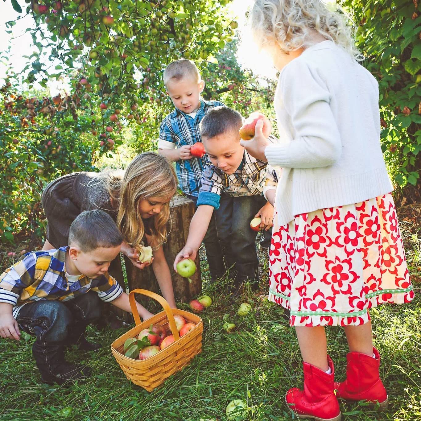 White House Detox Apple Cider Vinegar Shots, Raw Unfiltered, On the Go (Detox, Pack of 24)