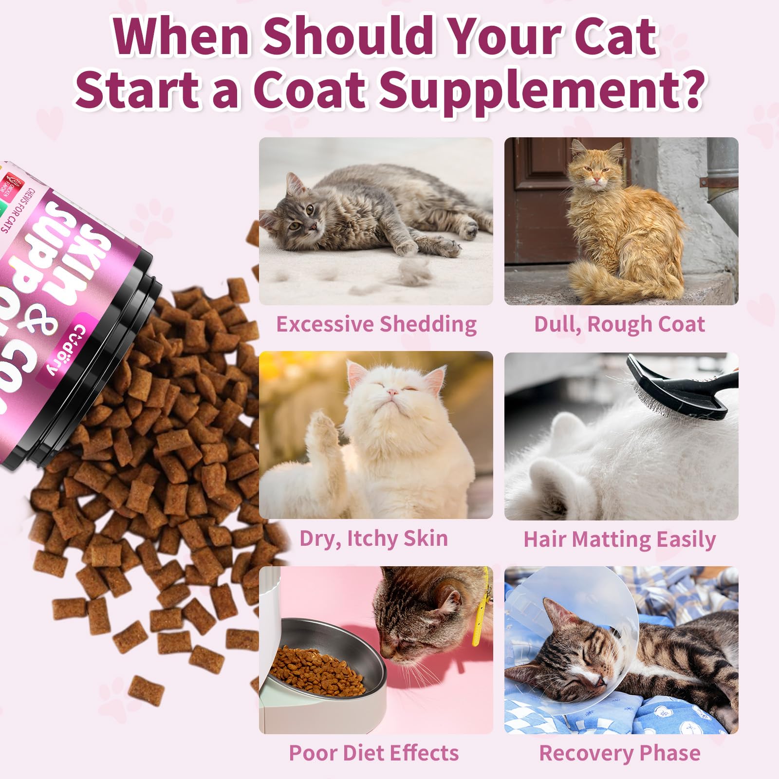 Chews for Cats Bundle-Cat Allergy Relief +Natural Skin and Coat Support for Cats for Digestive & Gut Support-Cat Supplements Omega 3 & Probiotic & Vitamins -Chicken