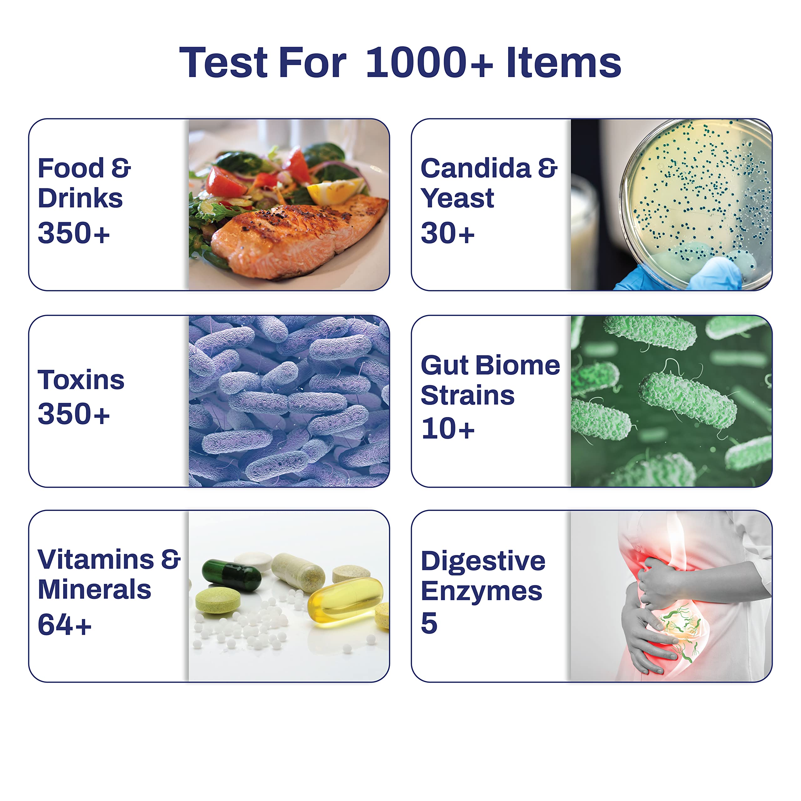 AFIL | Food & Drinks Sensitivity Testing Kit for Adults & Kids (1000+ Items Upgraded)