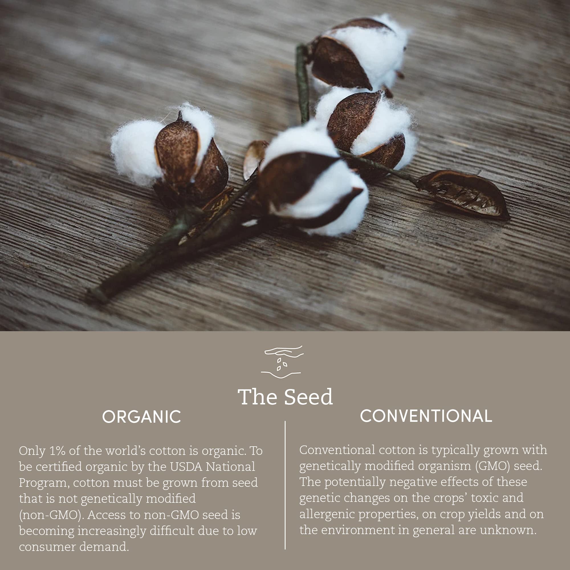 Coyuchi Organic Crinkled Percale Sheet Set, Pewter (Queen)