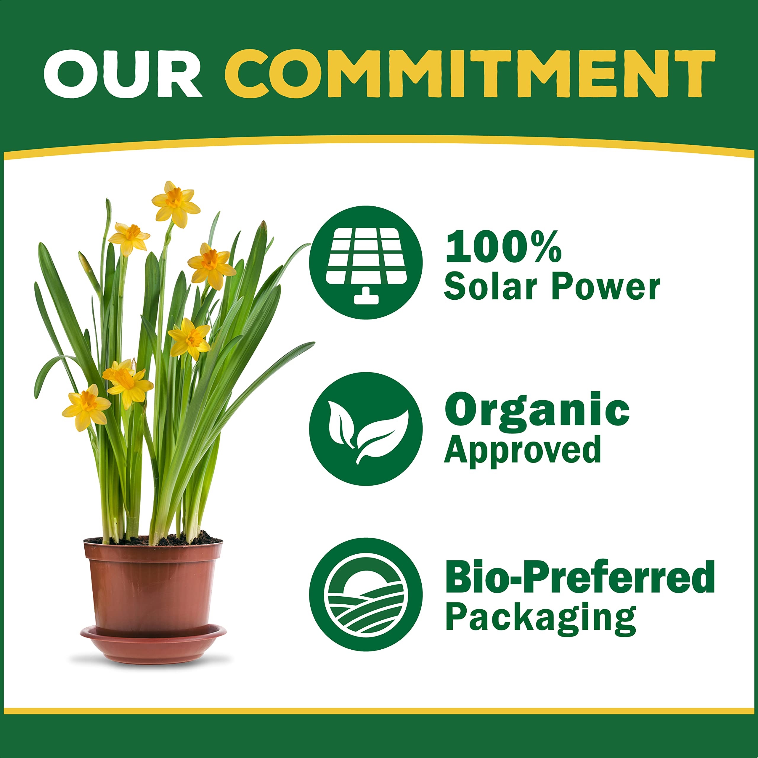 Espoma Organic Bulb-Tone 3-5-3 Natural & Organic Fertilizer and Plant Food for All Spring and Fall Bulbs. 4 lb. Bag. Use for Planting & Feeding to Promote Vibrant Blooms