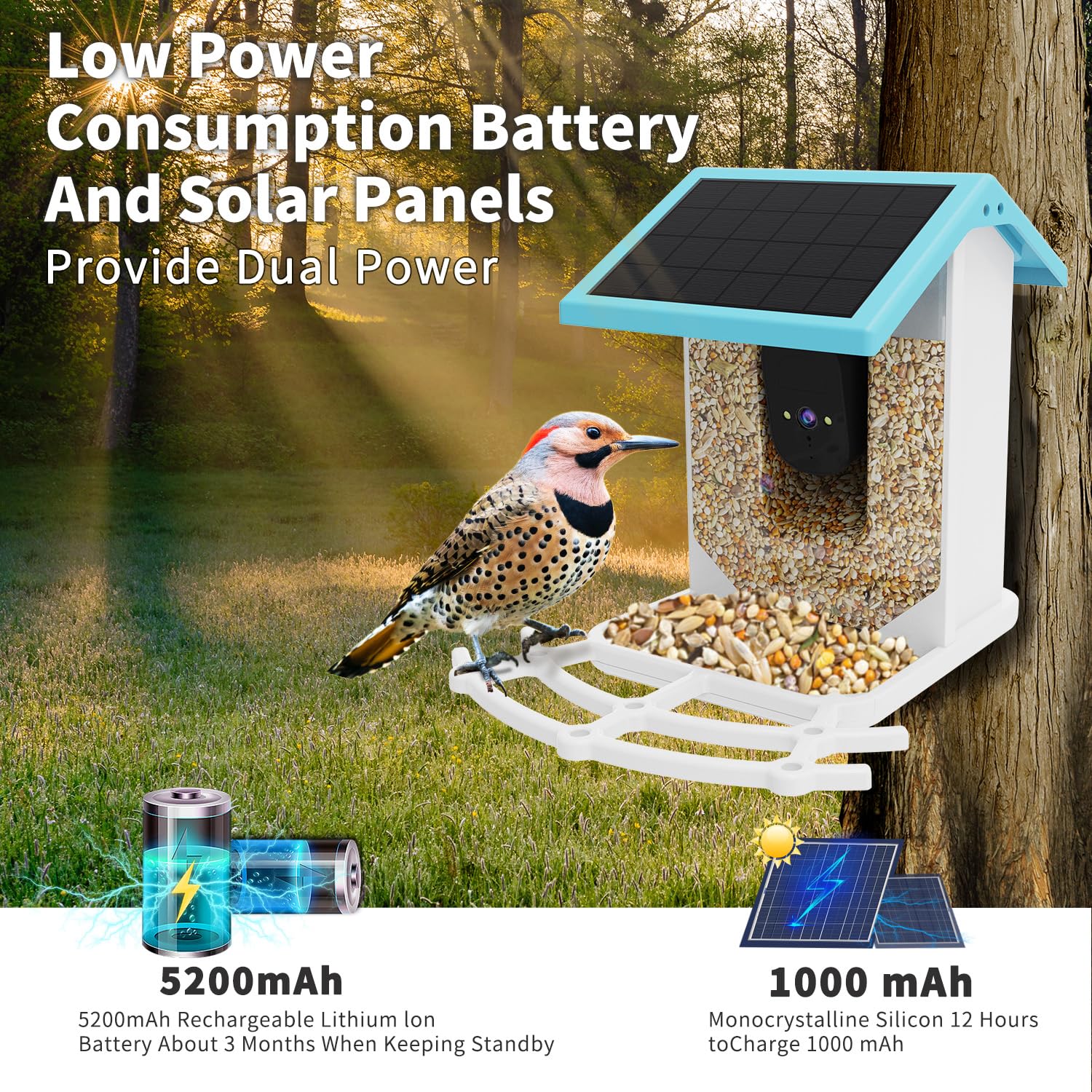 Smart Bird Feeder with Camera - HD AI Identify 11000+ Bird Species, Solar Panel Bird Feeder Auto Detect & Notify, Bird Watching Camera Wireless Outdoor for Bird Lover