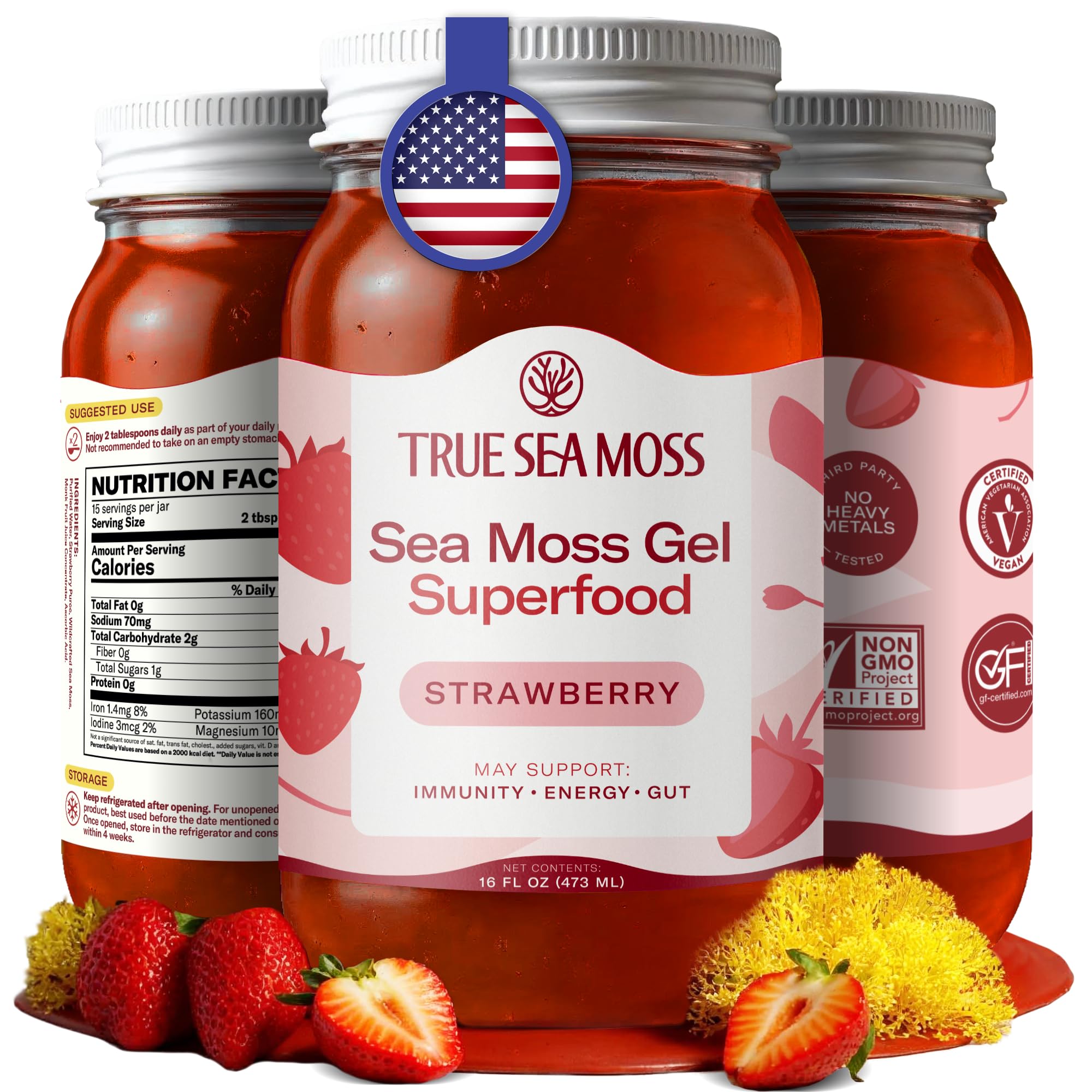 TrueSeaMoss Sea Moss Gel – Made in USA – Wildcrafted Seamoss, Fresh Fruits & Sea Vegetables – Strawberry, Pack of 1 (Labels may Vary)