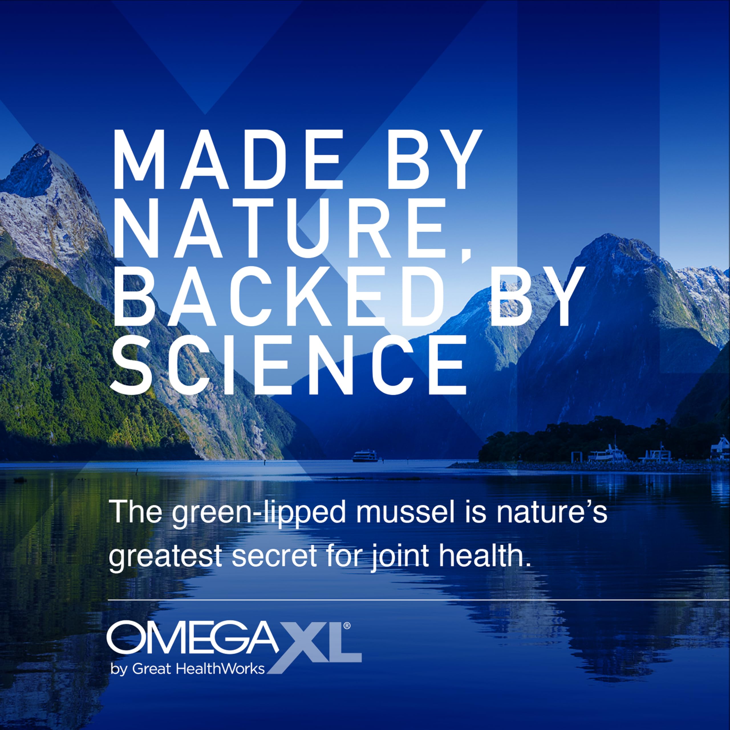 OmegaXL Joint Support Supplement - Natural Muscle Support, Green Lipped Mussel Oil, Soft Gel Pills, Drug-Free, 300 Count