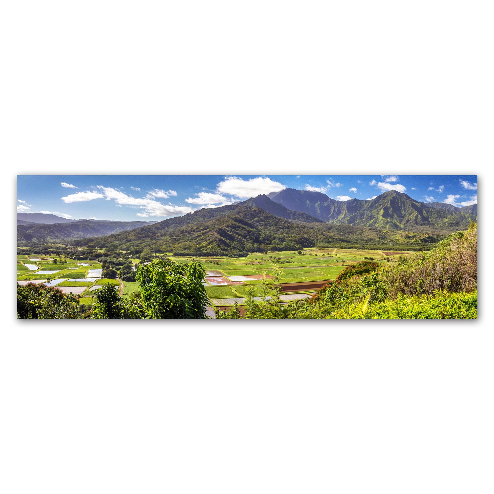 Trademark Fine Art Hanalei Kauai by Pierre Leclerc, 16x47-Inch