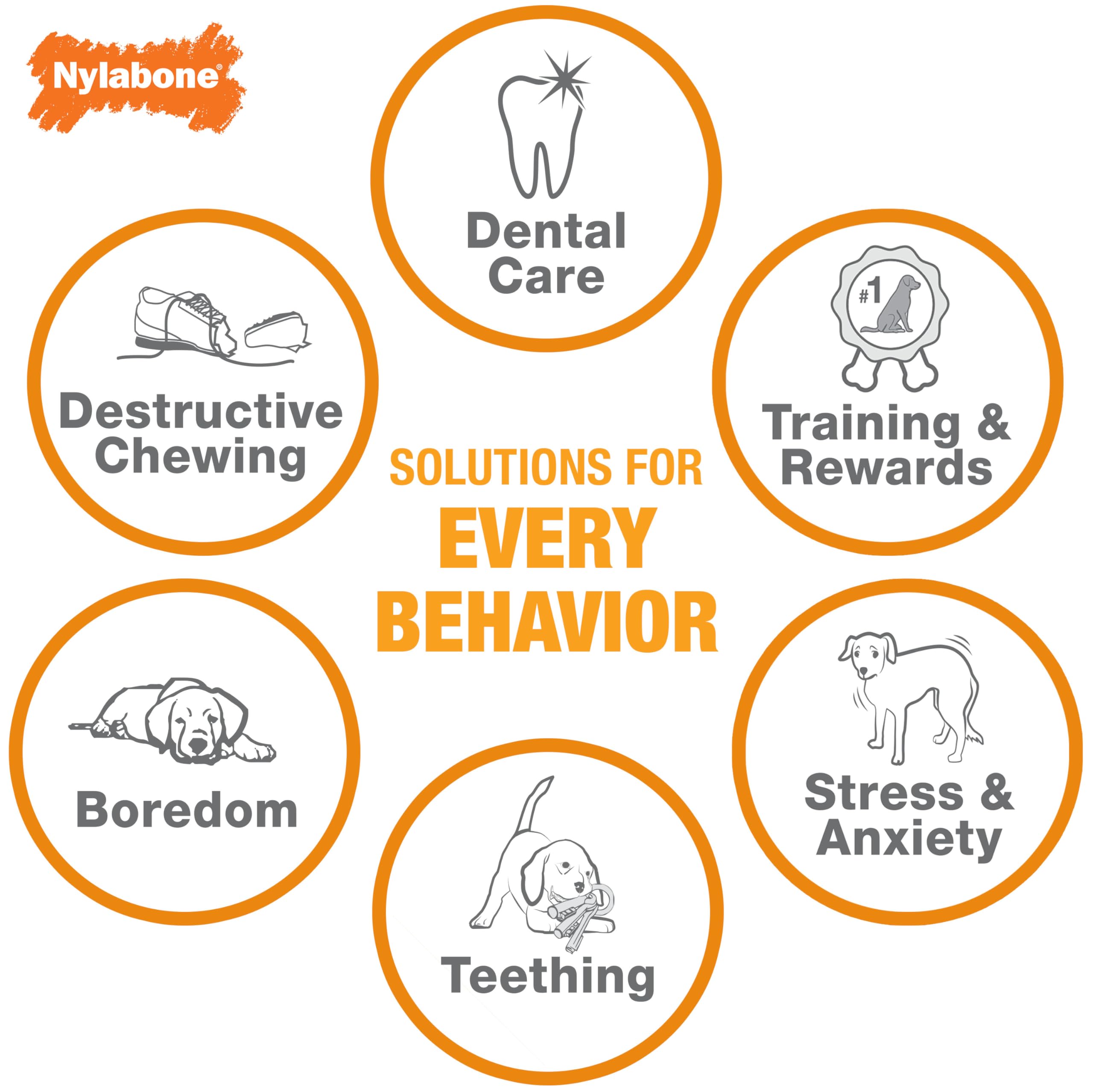 Nylabone Moderate Chew Flexi Chew Bone Peanut Butter & Bacon XX-Small/Tiny (2 Count)