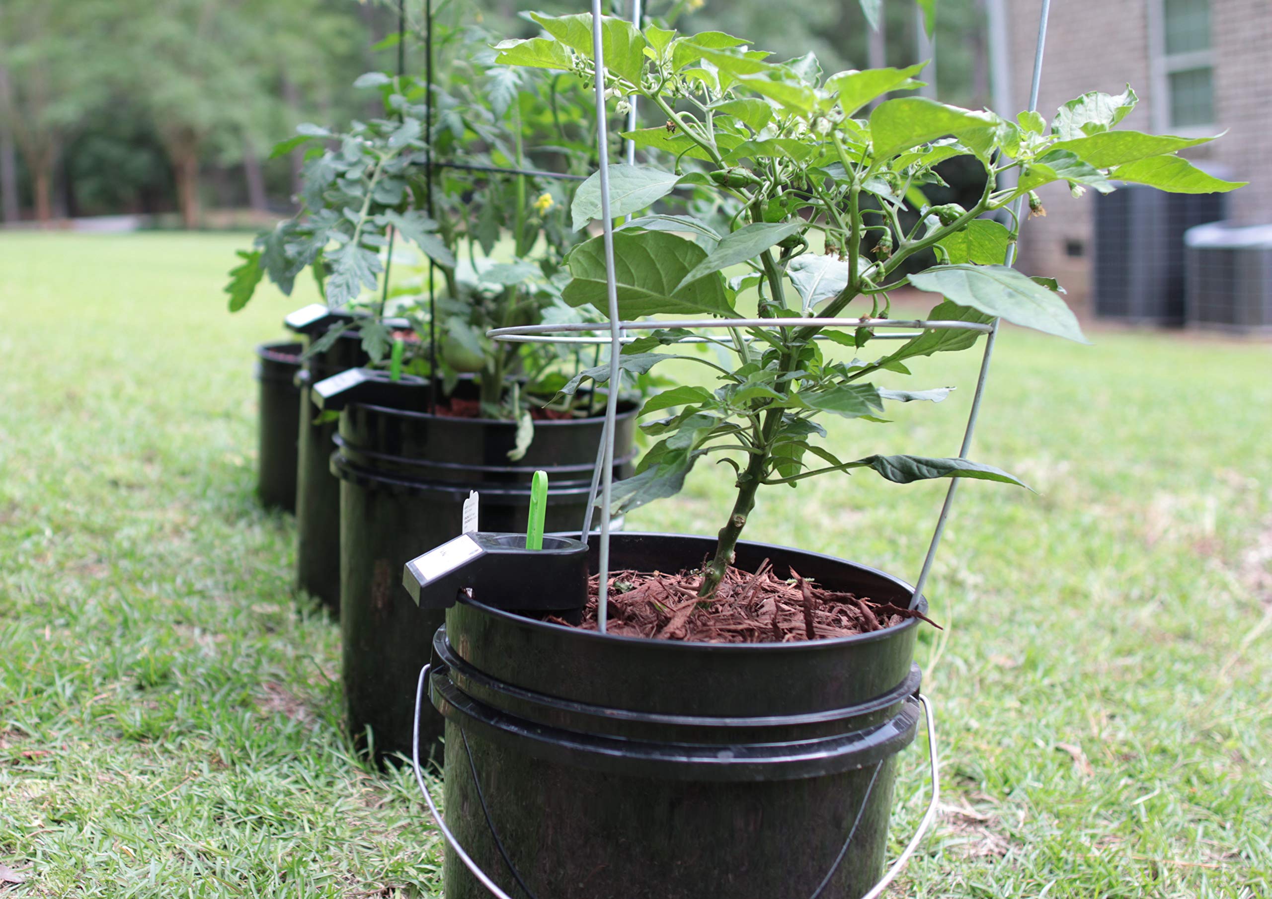 GroBucket Garden Kit (10PK) self-watering sub-irrigated planter insert. Turn any bucket into a self-watering Container Garden. Create an indoor or outdoor, space saving and portable garden in minutes.