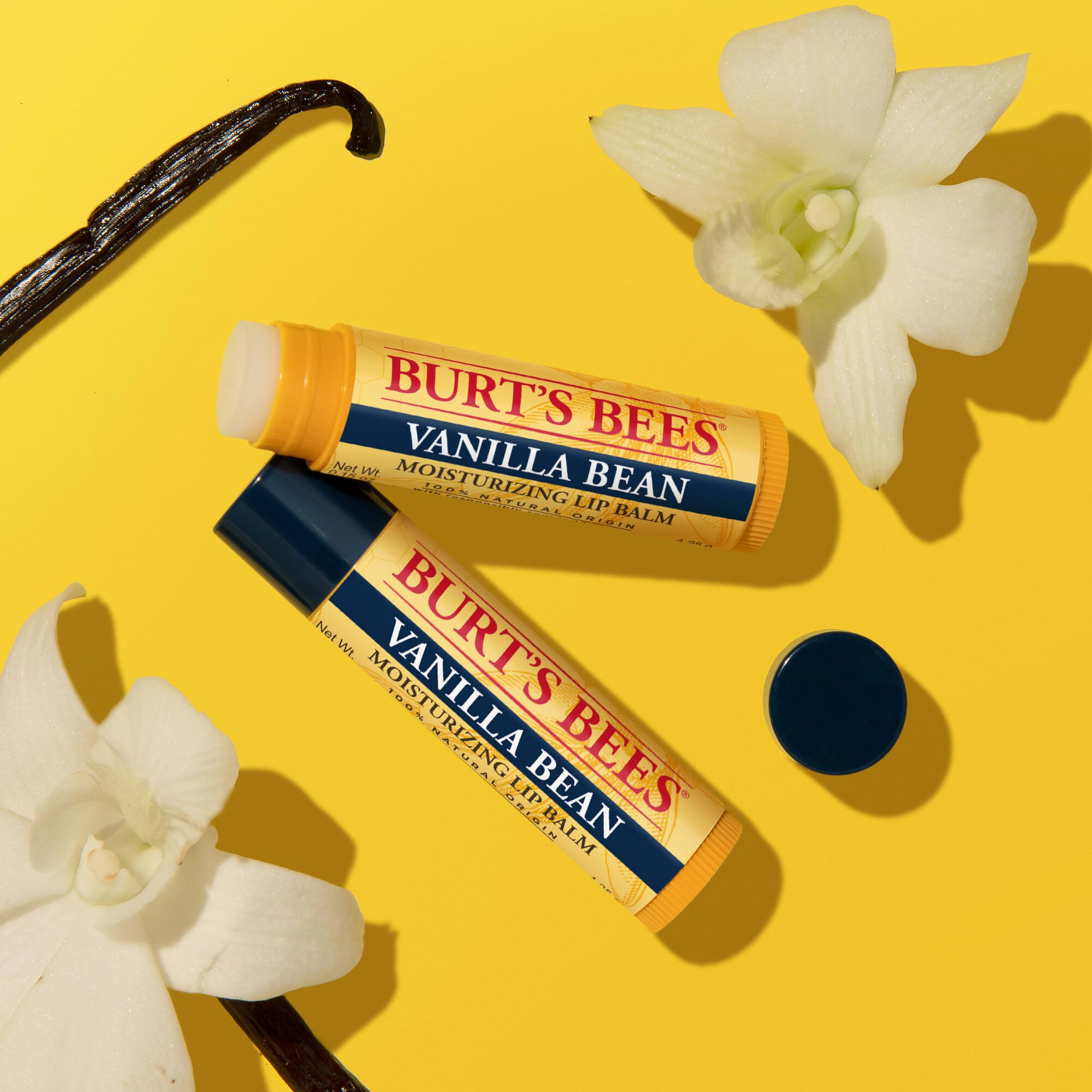 Burt's Bees Lip Balm Stocking Stuffers, Moisturizing Lip Care Christmas Gifts, Vanilla Bean, Lip Moisturizer With Responsibly Sourced Beeswax, Tint-Free, Natural Origin Treatment (2-Pack)