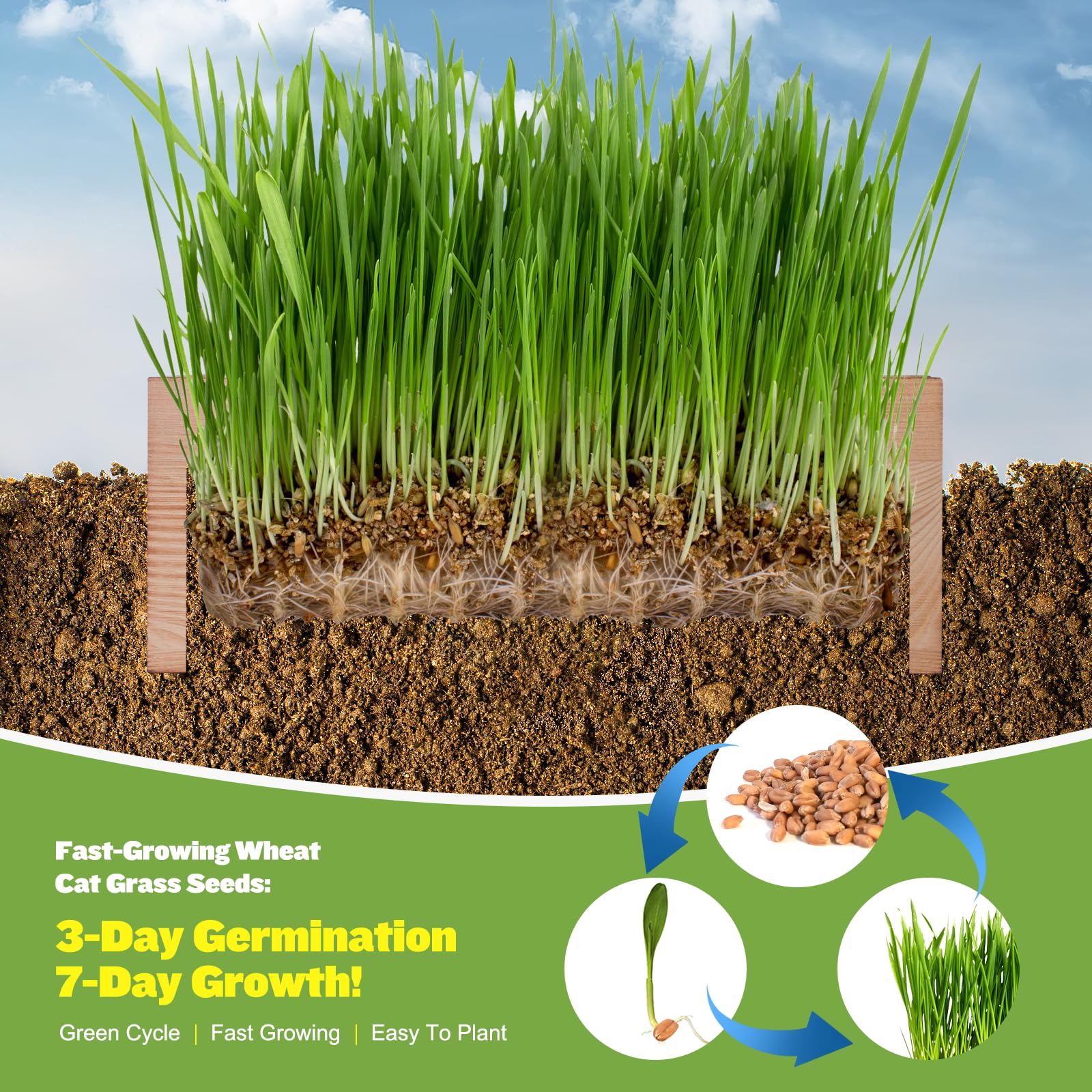 Organic Cat Grass Kit for Indoor Cats - 3 Pack with Cat Grass Seeds, Nutrient Soil & Planter Pots | Complete Growing Set for Fresh Pet Grass (Non-GMO Wheat Grass)