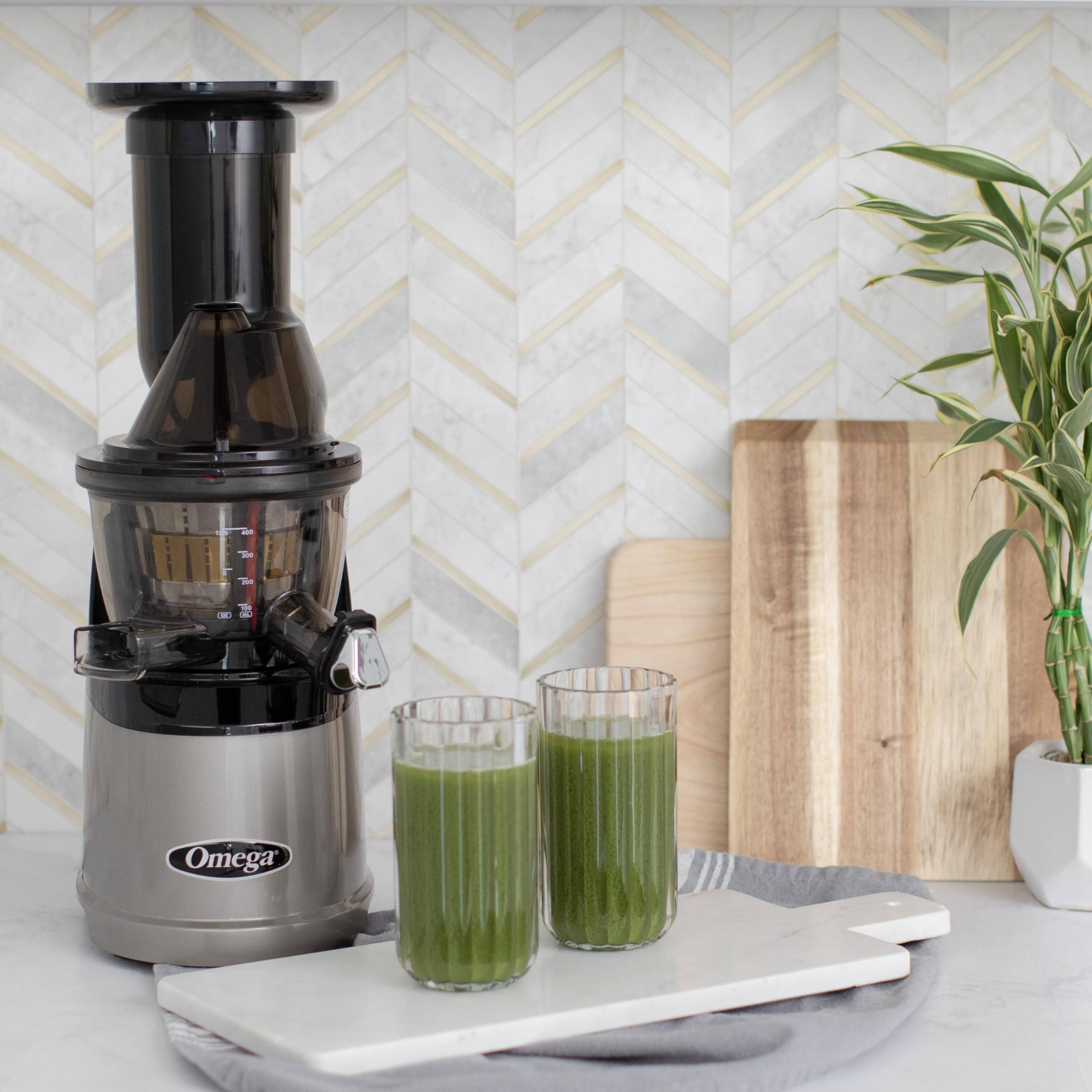 Omega MegaMouth Vertical Low Speed Quiet Juicer with Smart Cap Spout Tap, 240-Watt, Silver