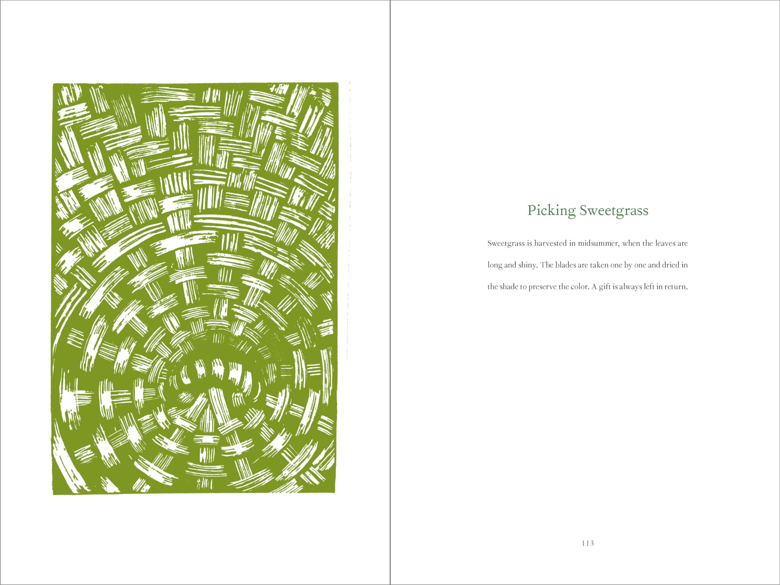 Braiding Sweetgrass: Indigenous Wisdom, Scientific Knowledge and the Teachings of Plants