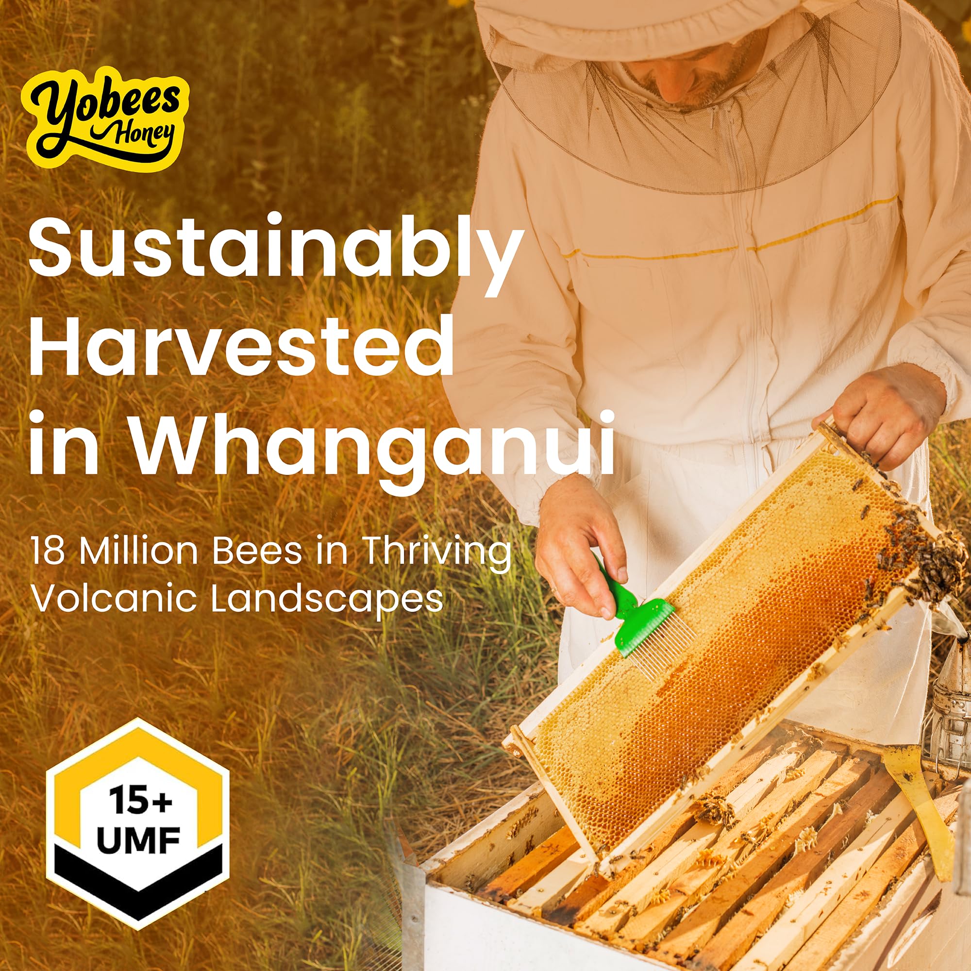 Yobees Honey Raw and unpasteurized New Zealand Manuka Honey Organic | MGO 512+ / Certified UMF 15+ | 8.8oz