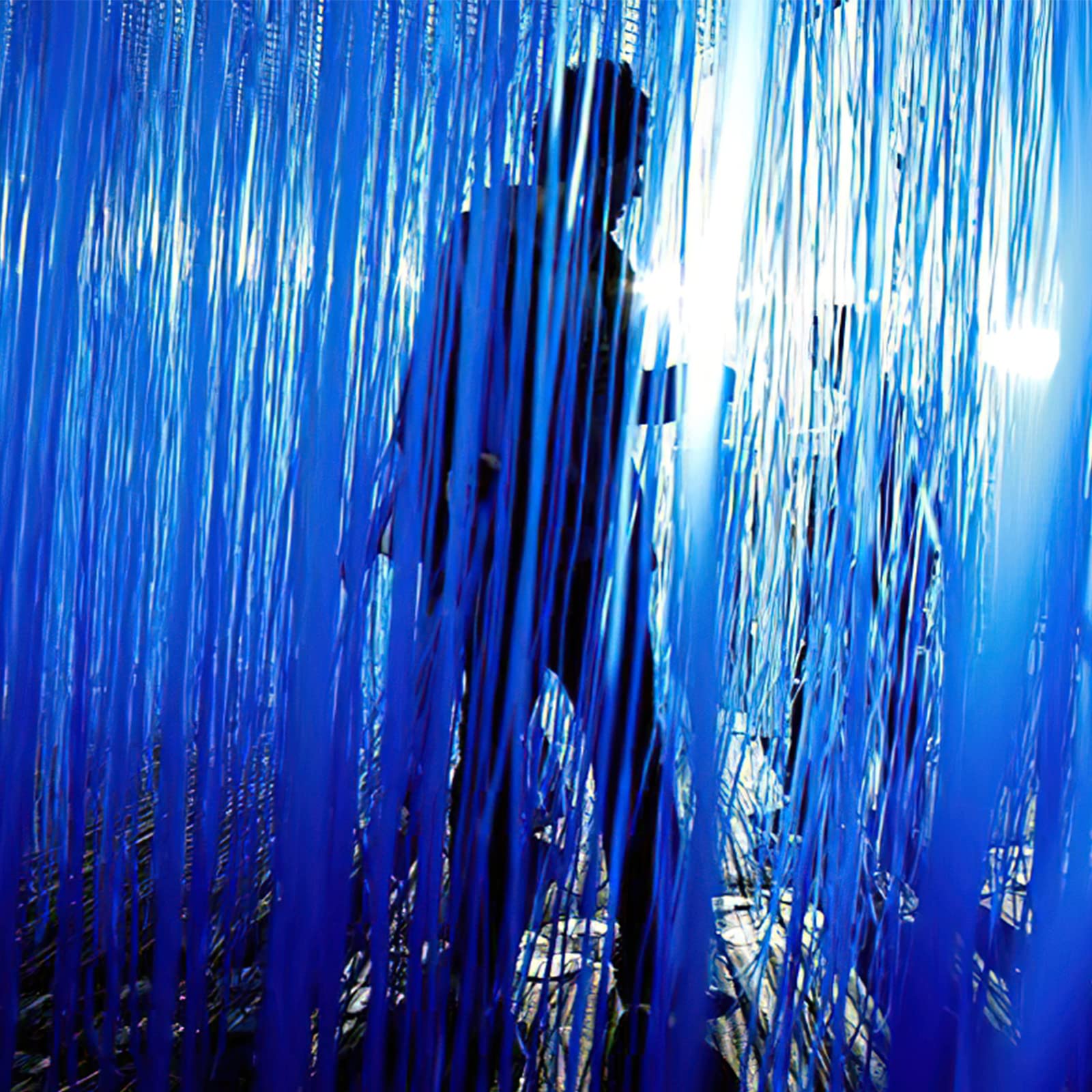 PartyWoo 2 pcs Royal Blue Foil Fringe Curtain, Metallic Foil Tinsel Fringe Backdrop Door Fringe for Birthday Wedding Party Photo Backdrop, Blue Streamers Party Decorations