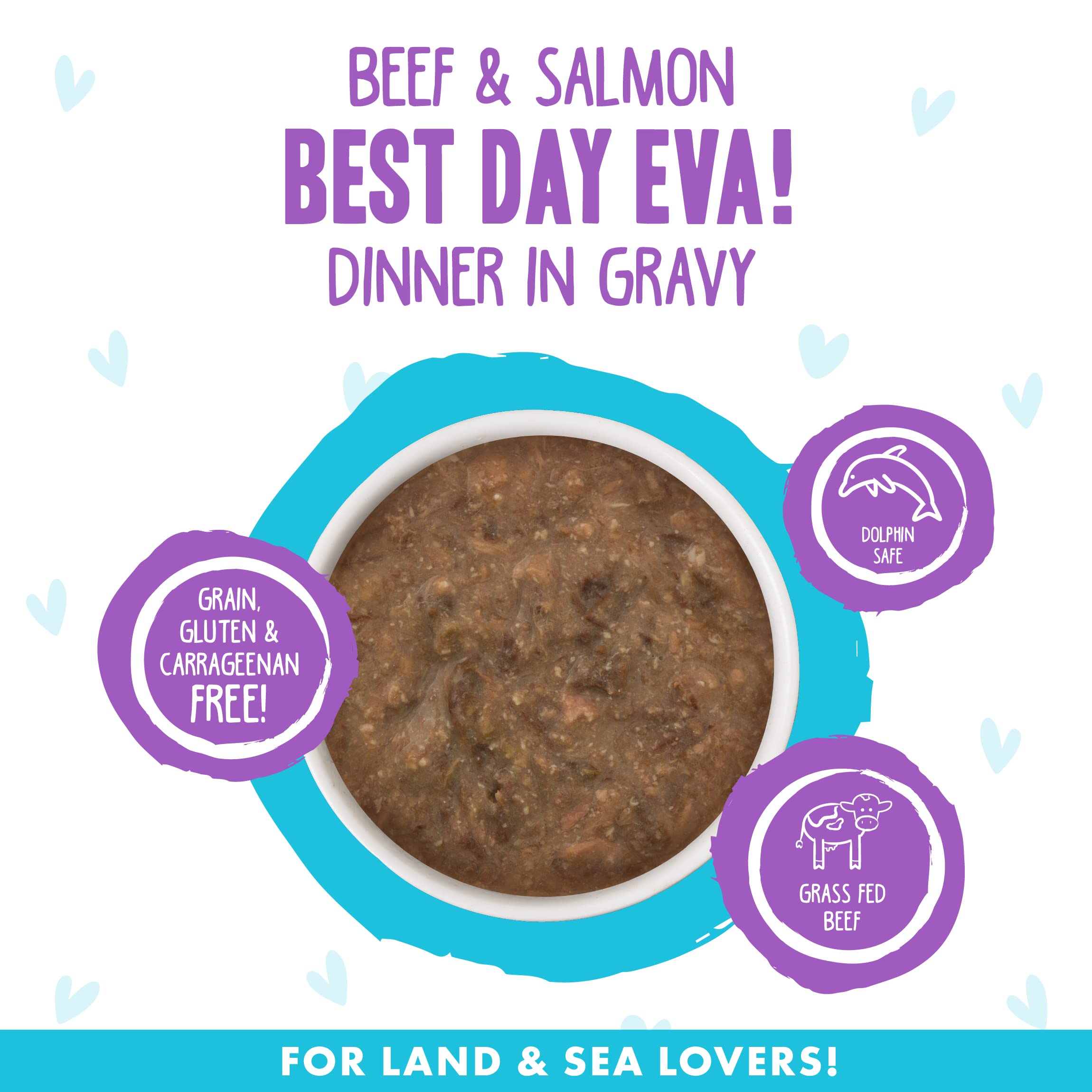Weruva B.F.F. OMG - Best Feline Friend Oh My Gravy!, Best Day Eva! with Beef & Salmon in Gravy Cat Food, 2.8oz Can (Pack of 12)