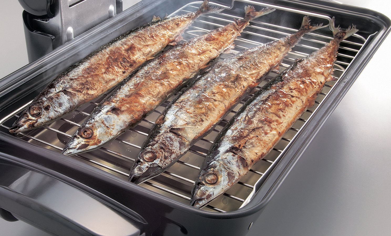 Zojirushi EF-VSC40 1300-Watt Electric Gourmet Roaster