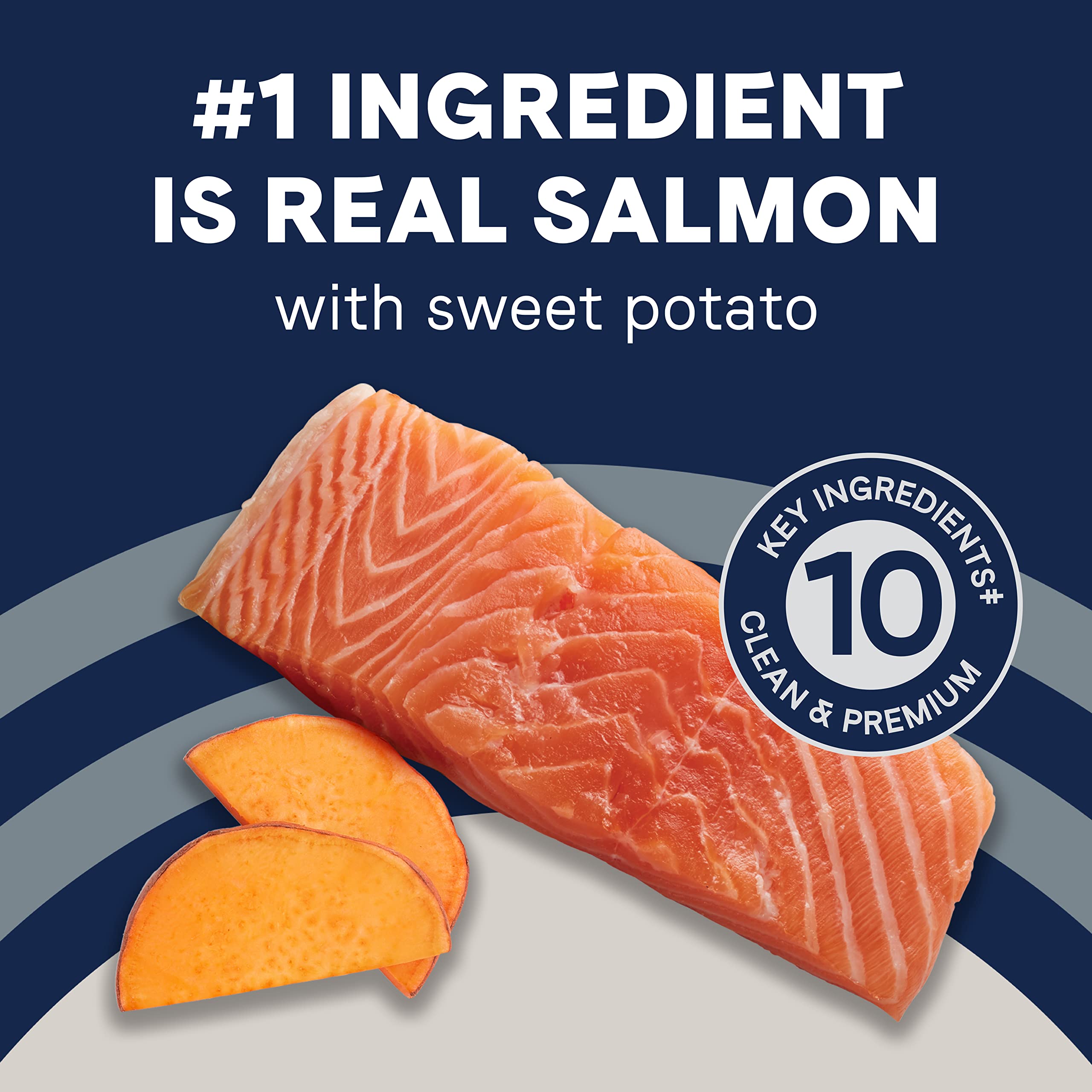 Canidae Pure Real Salmon & Sweet Potato Recipe Adult Dry Dog 12 LB