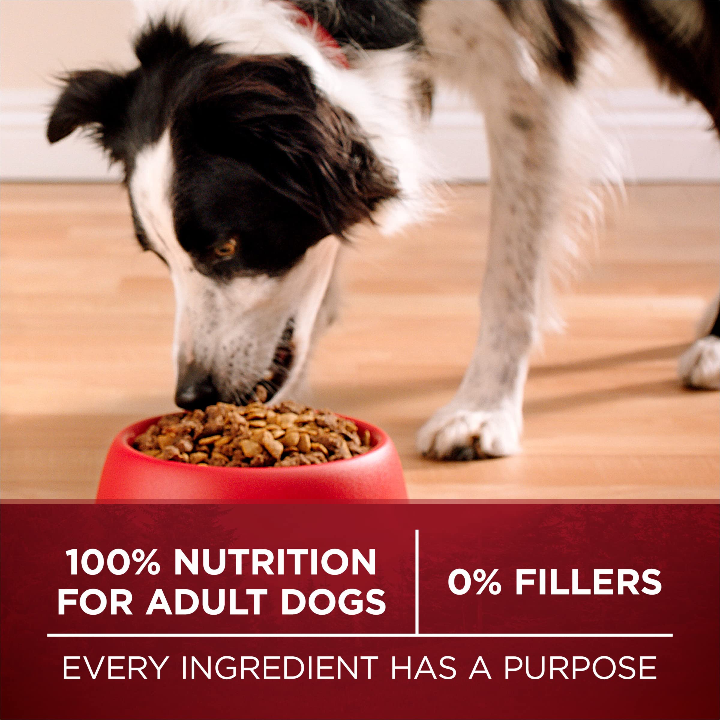 Purina ONE True Instinct With A Blend Of Real Turkey and Venison Dry Dog Food - 15 lb. Bag