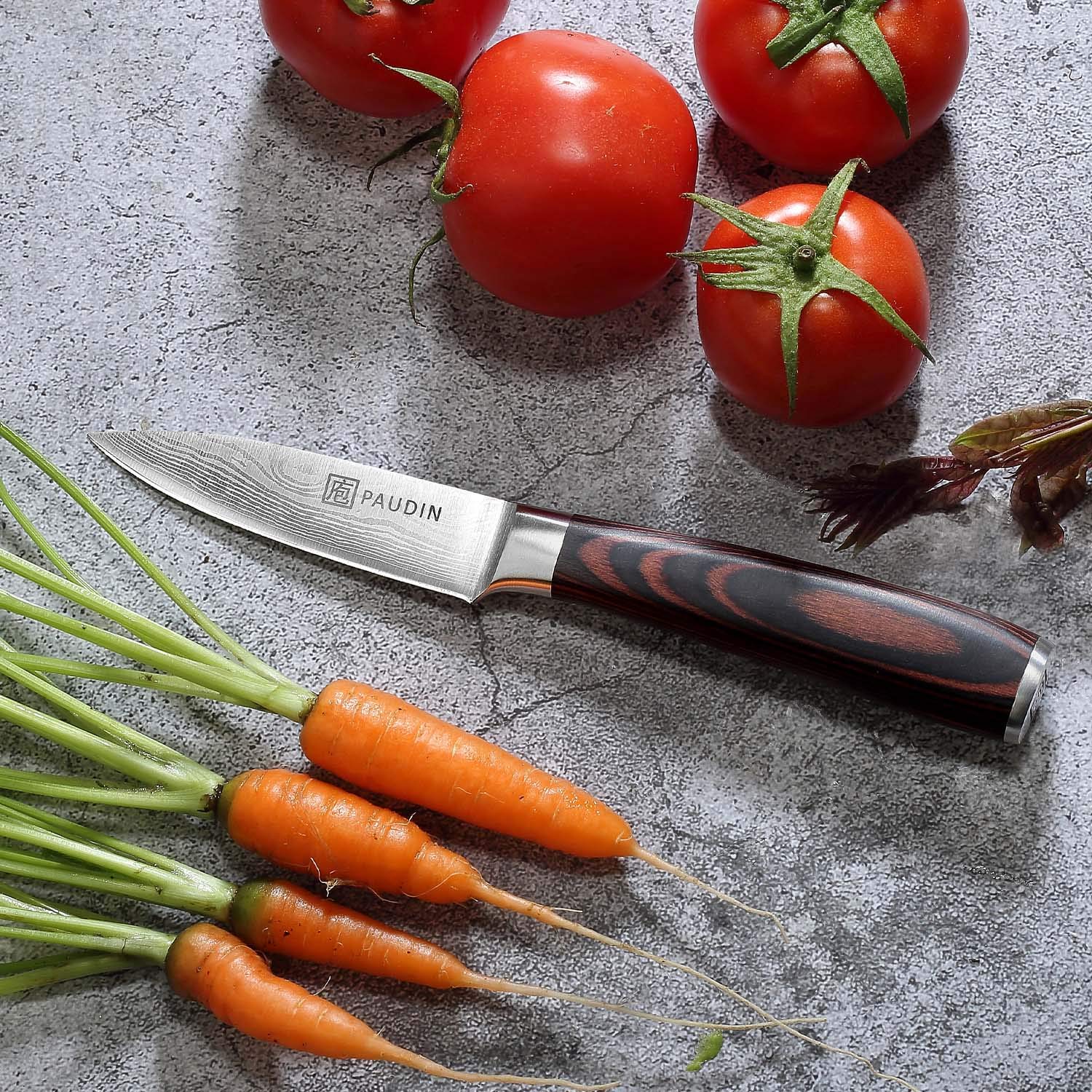 PAUDIN Paring Knife, 3.5 Inch Fruit Knife, High Carbon 5Cr15Mov Stainless Steel Forged Paring Knife, Ultra Sharp Small Kitchen Knife, Ergonomic Wooden Handle with Elegant Gift Box