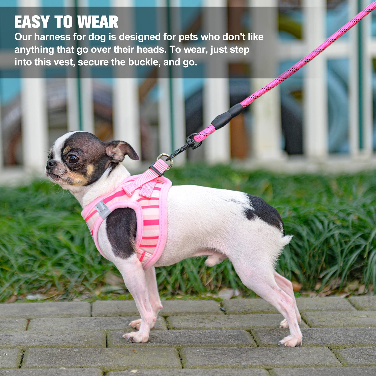 BEAUTYZOO Dog Harness and Leash Set for Small Dogs,No Pull Step-in Harness for Puppy XS S Sized Dogs and Cats,Air Mesh Adjustable Breathable Soft No Chock Escape Proof Vest Harnesses,Striped Pink XXS